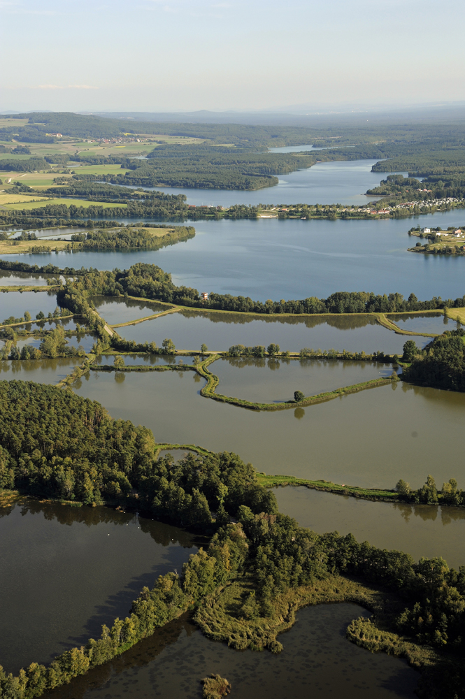 Luftaufnahme über das Oberpfälzer Seenland (Foto: Günter Moser/Zweckverband Oberpfälzer Seenland)