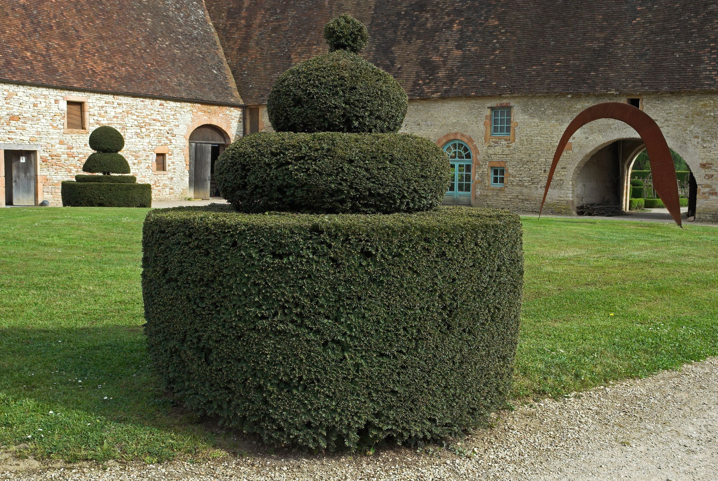 Stadtbaum-Portrait: zu einer kunstvollen Form beschnittene Eibe in einem Park (Foto: JAG IMAGES/stock.adobe.com)
