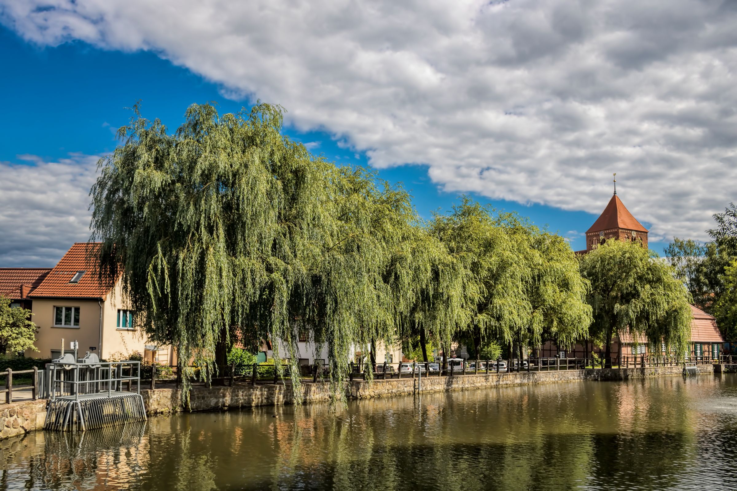 Stadtbaum-Portraits: Trauerweiden an einem Stadtteich (Foto: ArTo/stock.adobe.com)