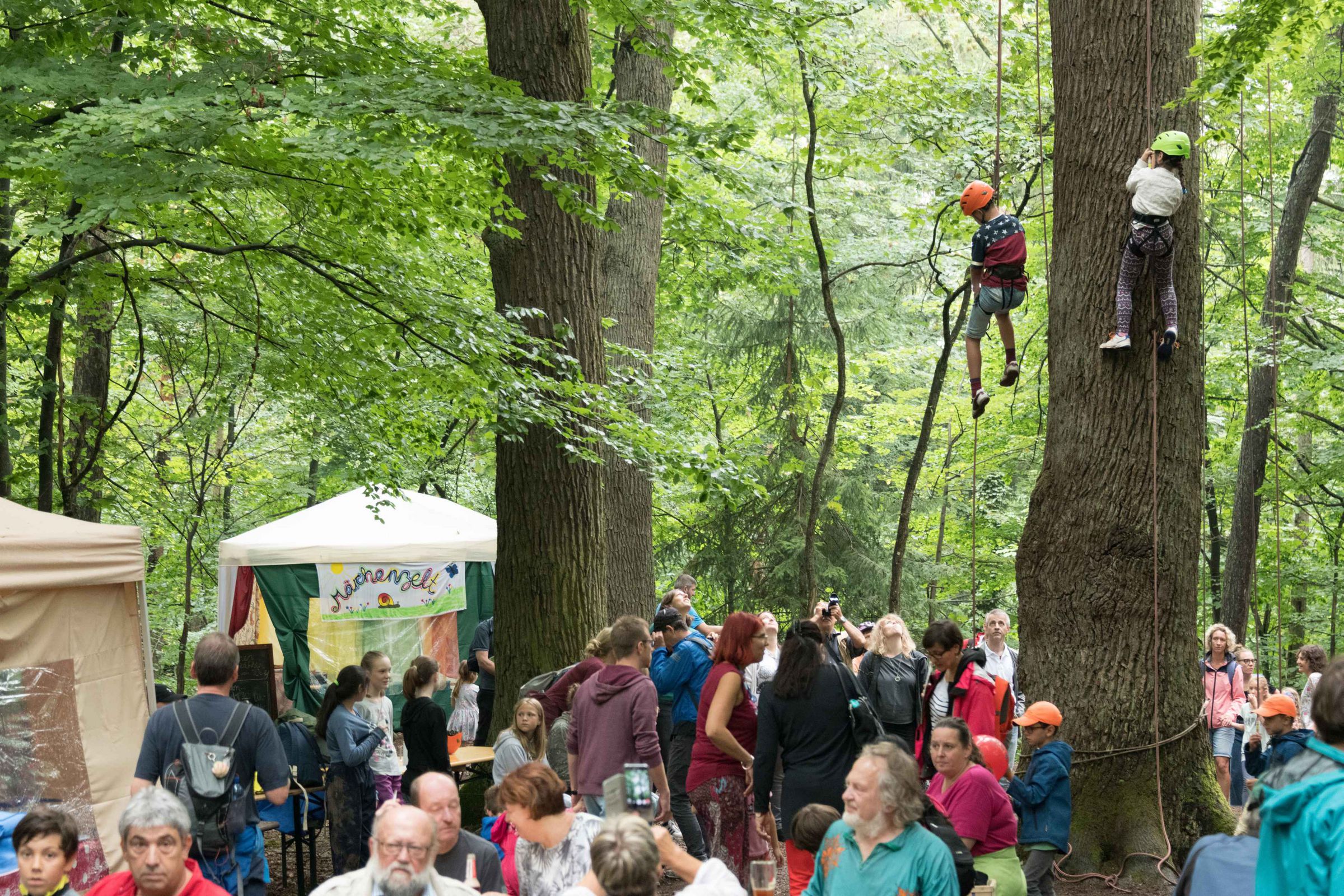 Baumklettern beim Reichswaldfest - Foto Toni Mader