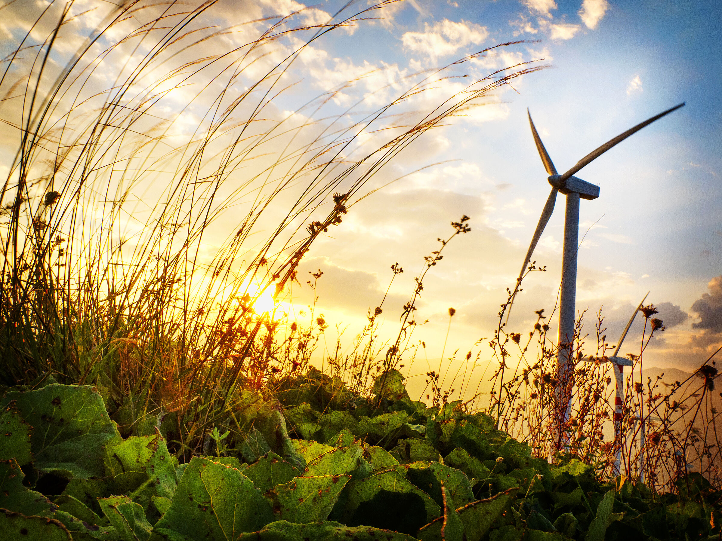Wind Turbine in sunset