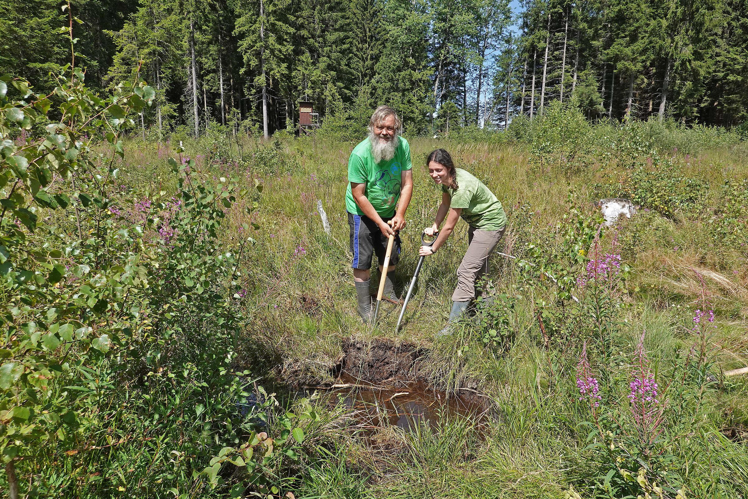 Wiedervernässung am Wagenwasser (Foto: Reiner Cornelius)