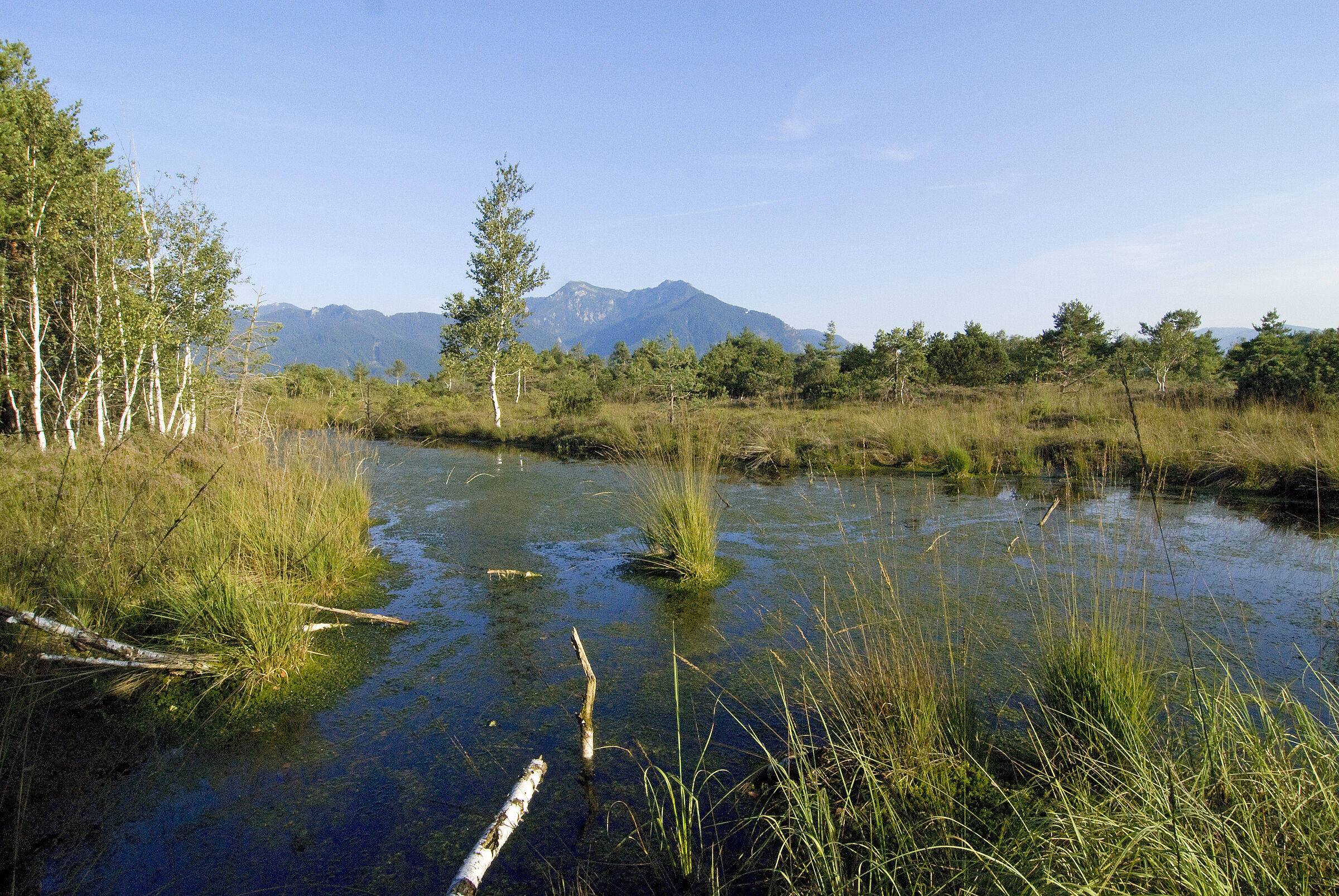 Kendlmühlfilze (Foto: Hans Vodermeier)
