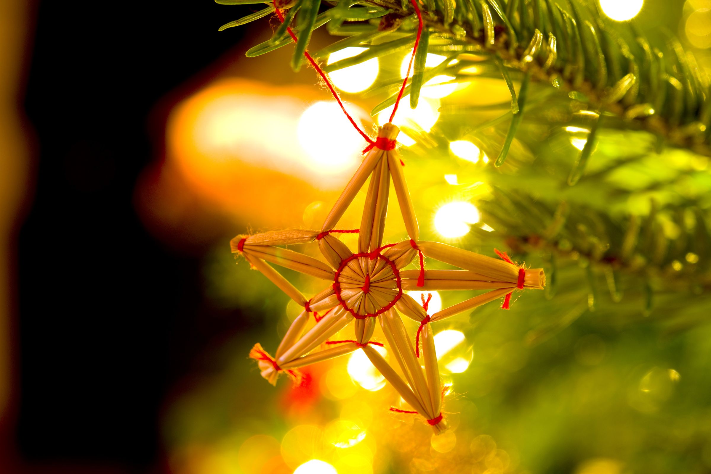 Foto: VRD/stock.adobe.com