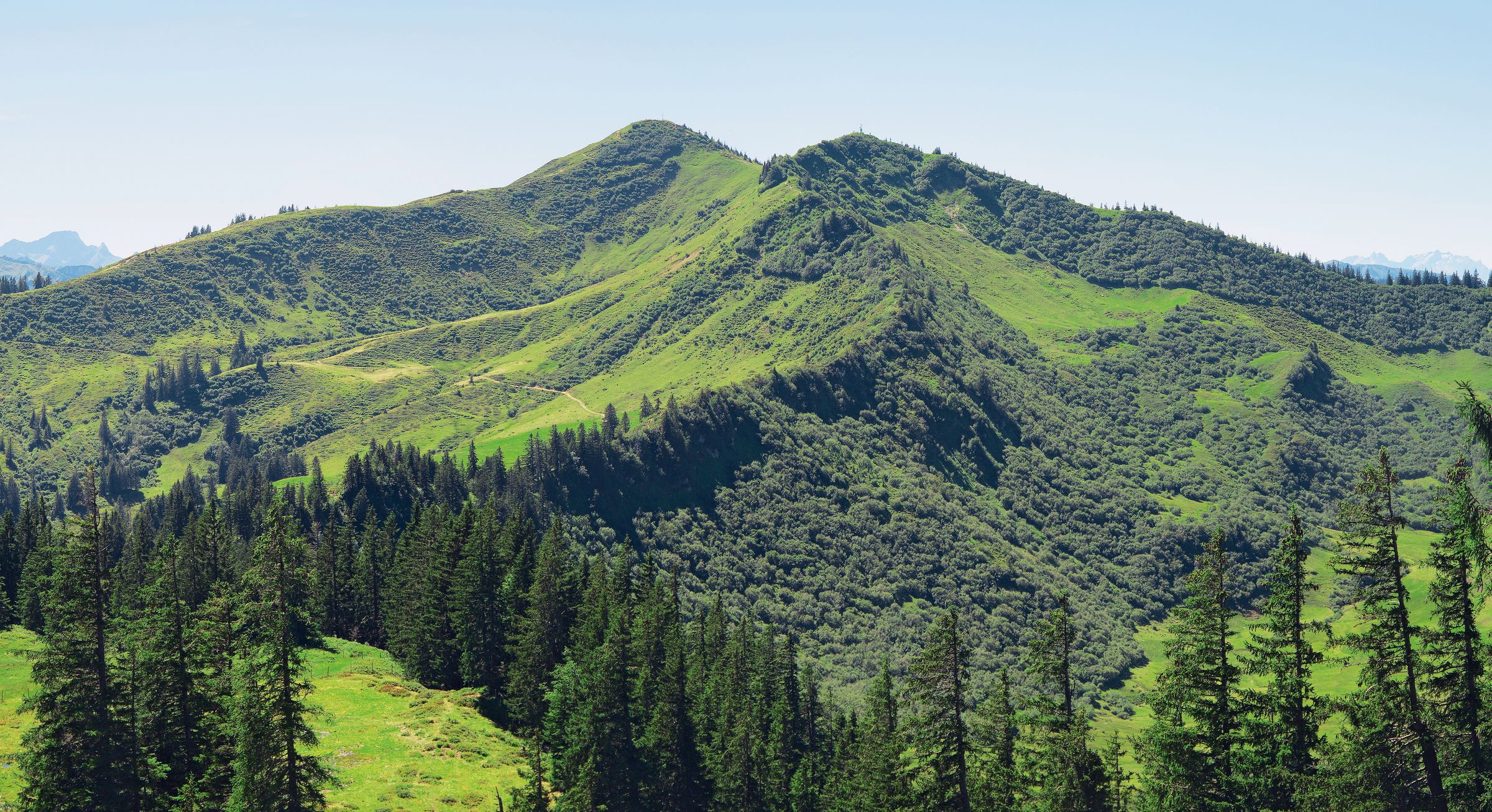 Hart umkämpft im Alpenplan: Blick auf das Riedberger Horn (Foto: Oswald Beumeister/Gesellschaft für Ökologische Forschung II)