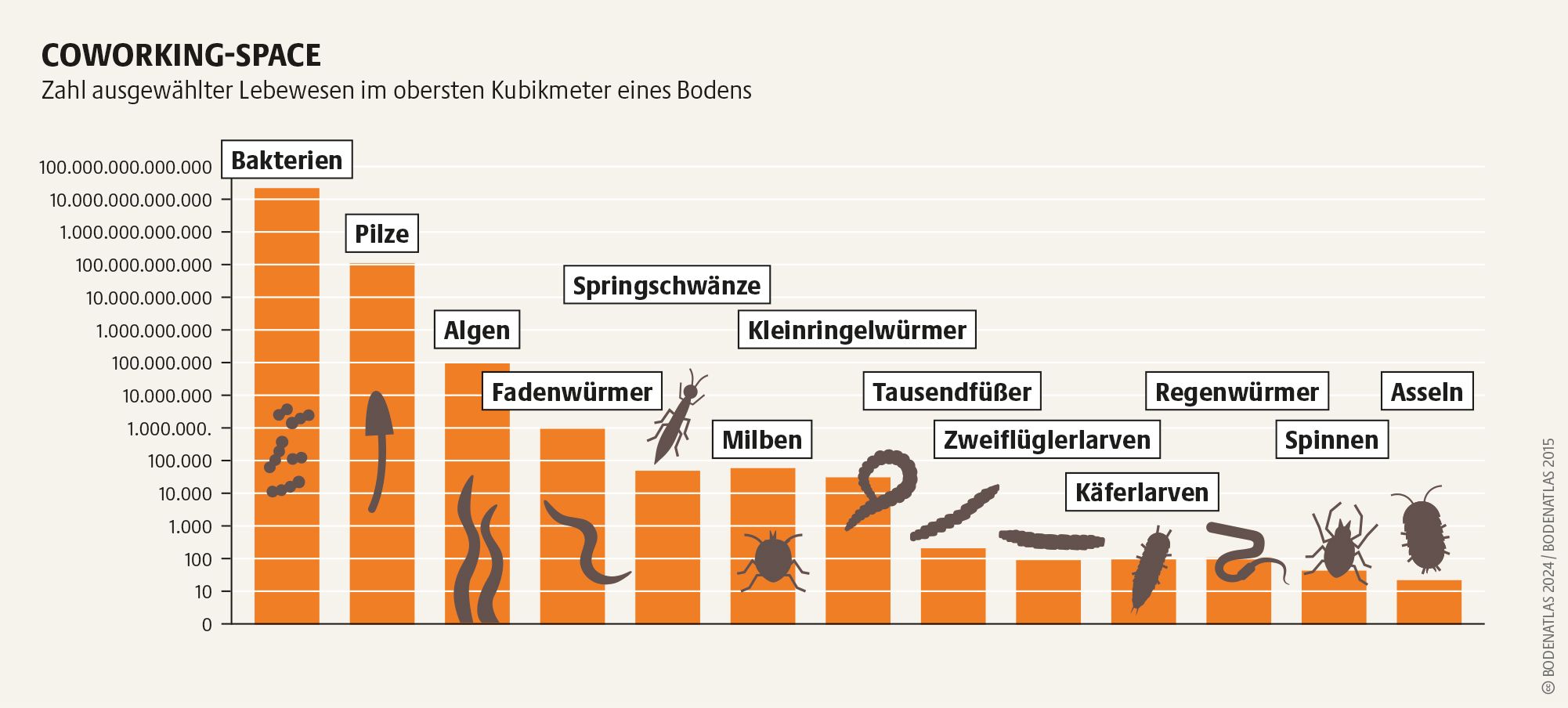 Ein Balkendiagramm zeigt, wie viele Kleinstlebewesen es im Boden gibt.