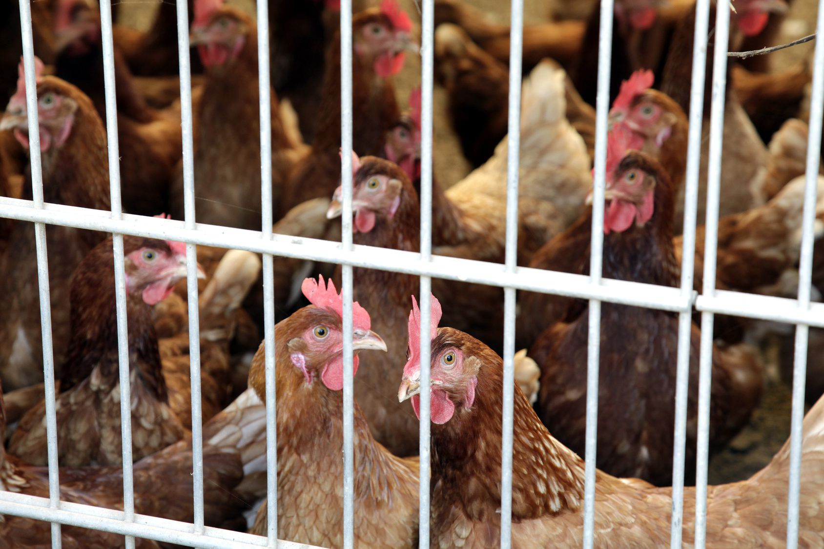 Foto: akf/fotolia.com