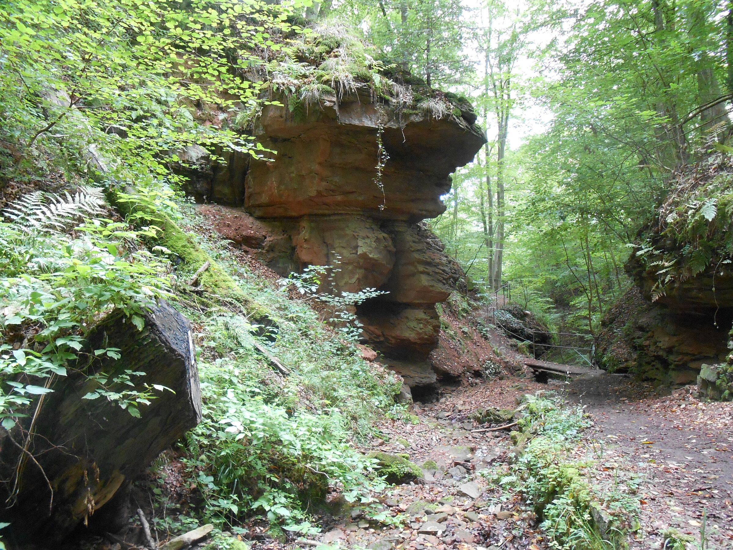 Blick in eine urige Schlucht mit grün bewachsenen Hängen und Felsen. Die Seltenbachschlucht gehört zur Biosphärenregion Spessart. (Foto: Dr. Ruth Radl)