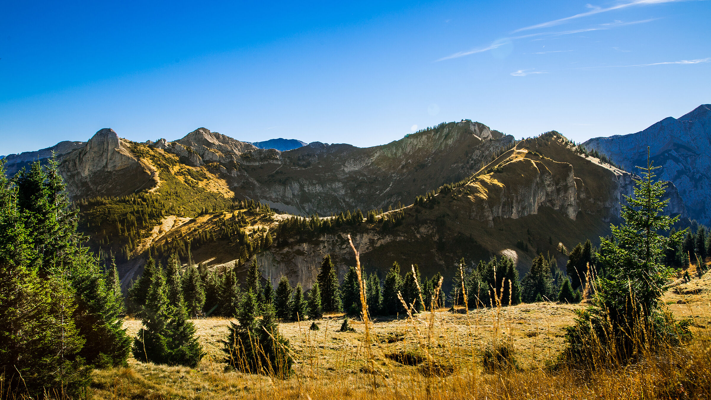 Eine felsige Berglandschaft mit herbstlich gelben Wiesen. Auch im Ammergebirge wäre ein dritter Nationalpark denkbar. (Michael Helmer/stock.adobe.com)