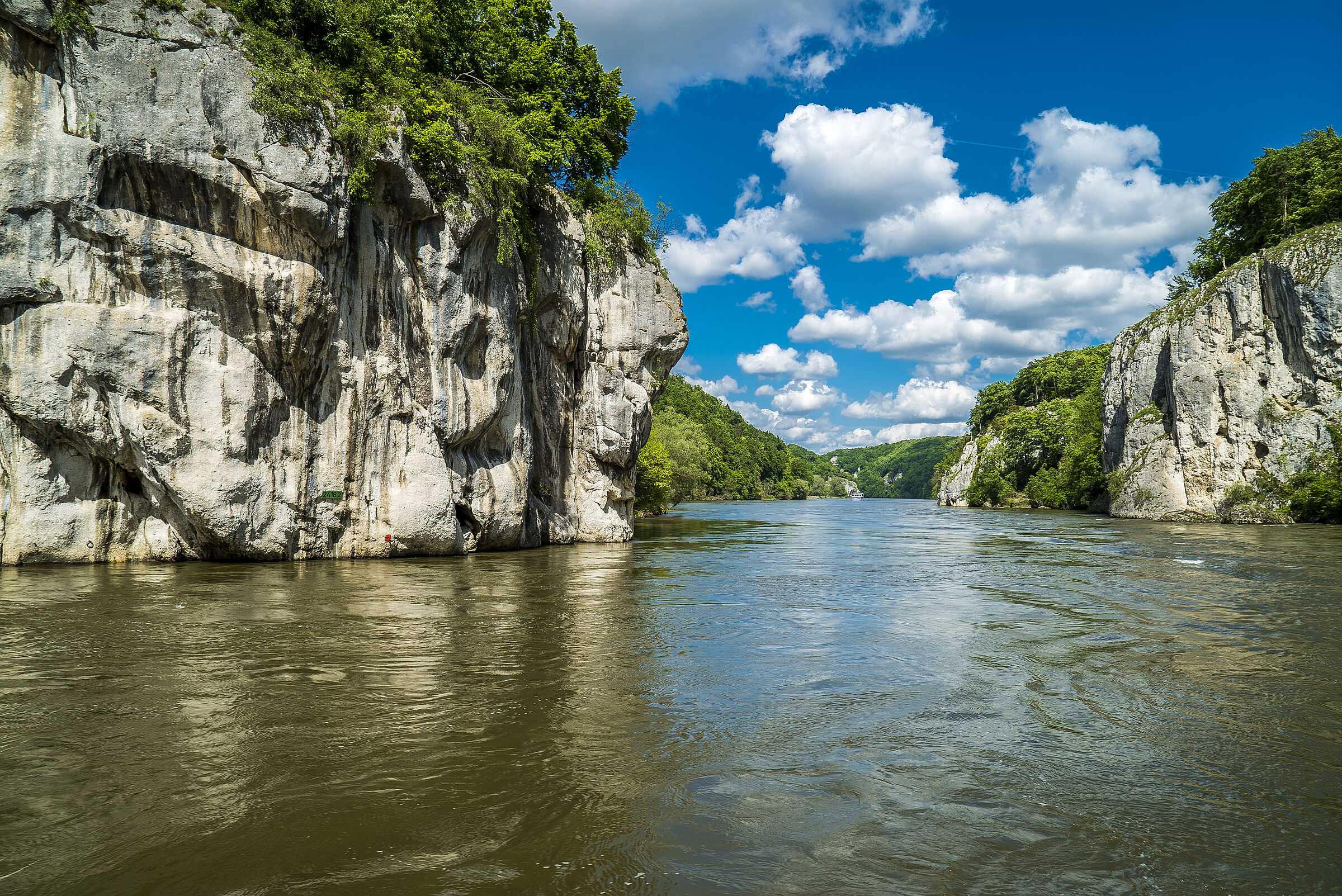 Am Donaudurchbruch: Ein breiter Fluss fließt durch bewaldete, steile Felswände. Auch Isar und Donau wären als dritter Nationalpark in Bayern denkbar. (Foto: Andy Ilmberger/stock.adobe.com) 