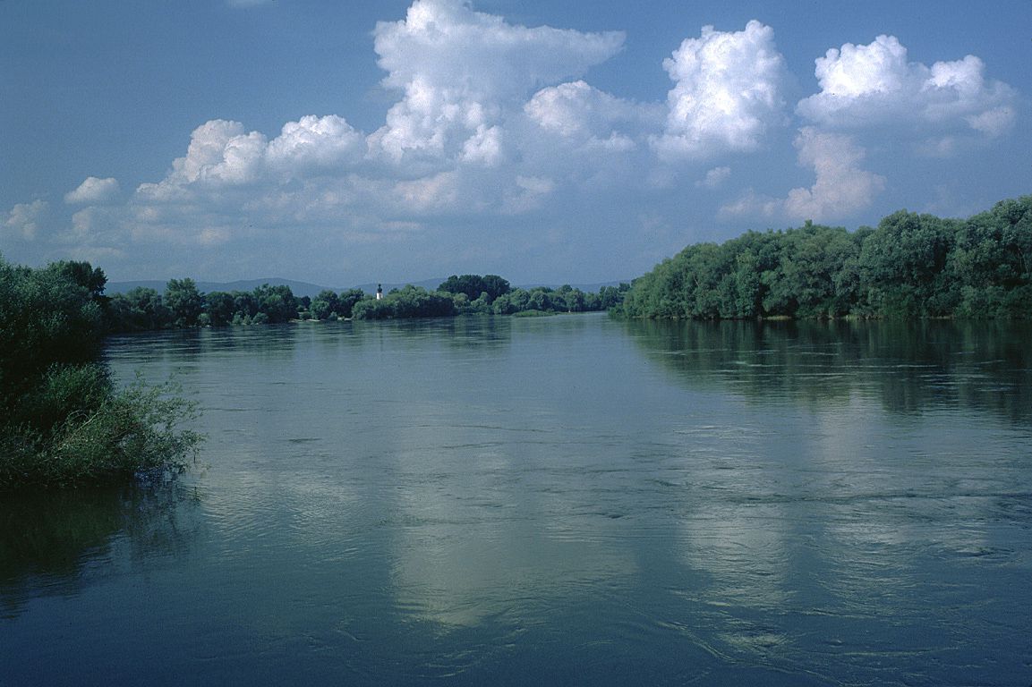 Frei fließende Donau an der Mühlhamer Schleife (Foto: Wolfgang Willner)