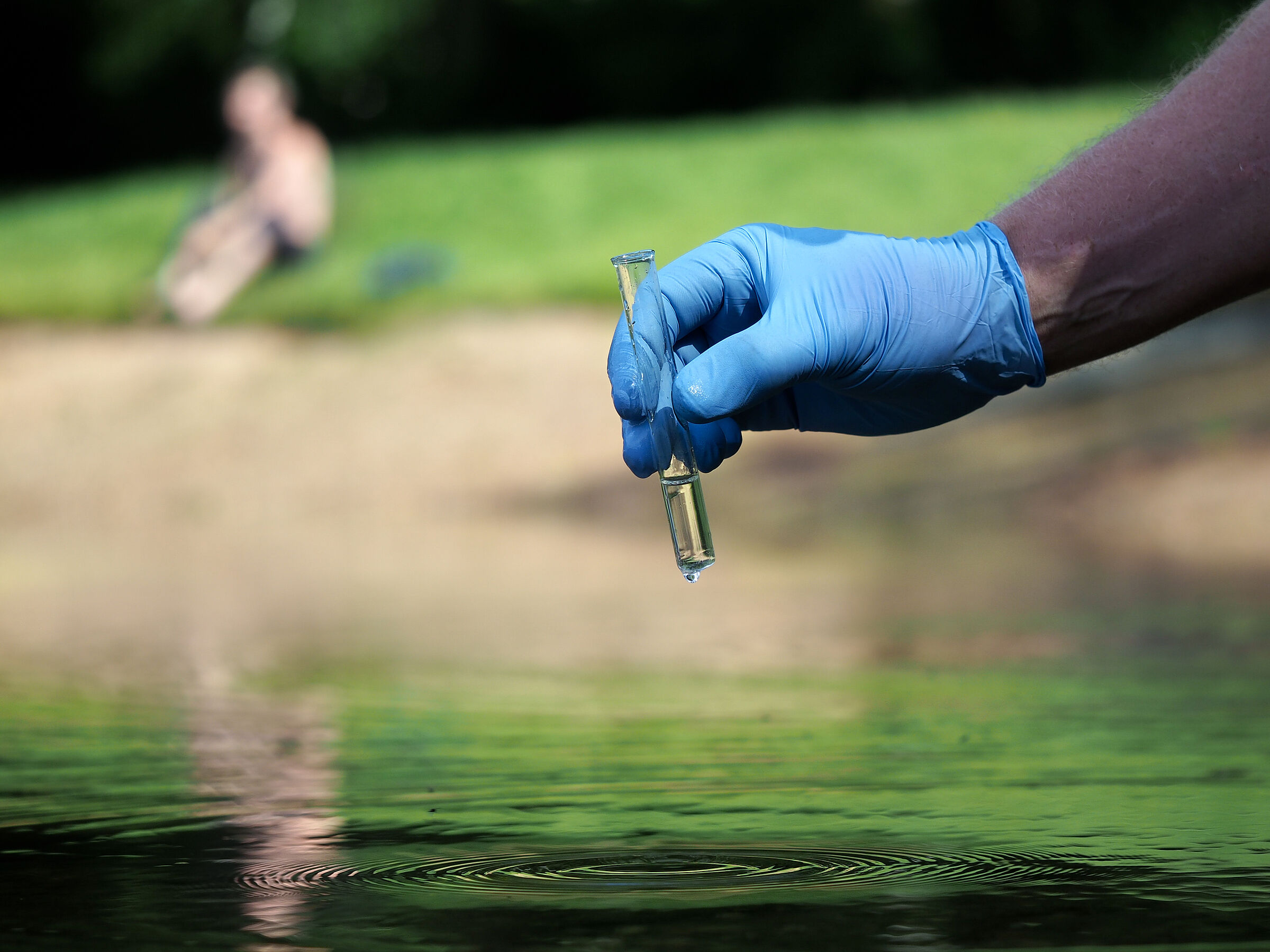 Gefährdung und Schutz von bayerischen Seen: Eine Hand mit einem blauen Handschuh holt mit einem Reagenzglas Wasser aus einem See. Regelmäßige Gewässerproben an bayerischen Seen gibt es erst seit den 1960er-Jahren.