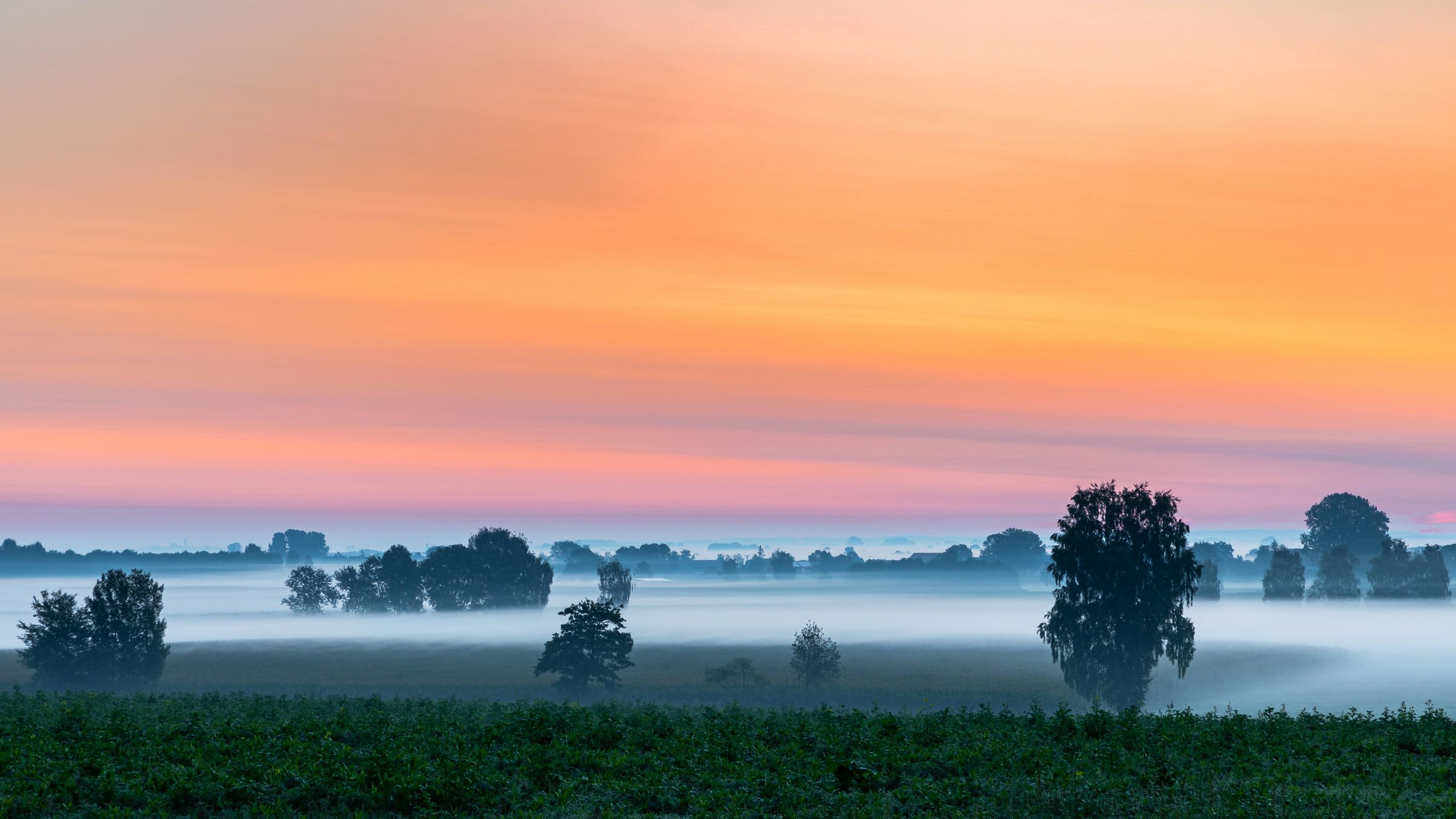 Morgenrot über dem Donaumoos, bodennah ziehen Nebelschwaden zwischen einzelnen Baumgruppen. 95 Prozent der Moorflächen Bayerns fielen dem Land- und Torfhunger zum Opfer. (Foto: nemo1963/stock.adobe.com) 