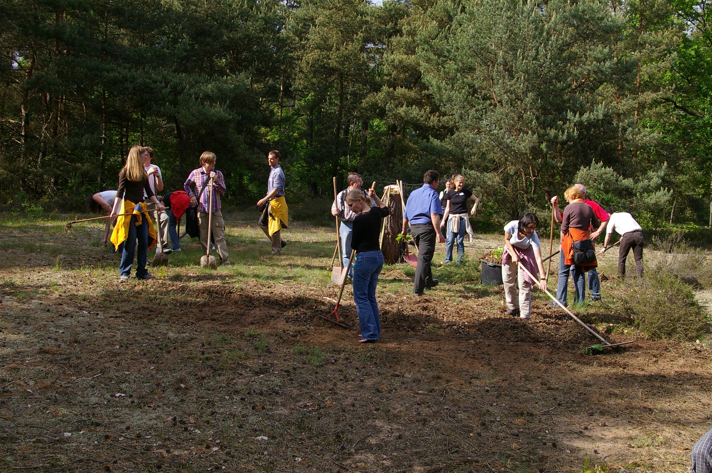 Eine Gruppe von Menschen mit Rechen und Schaufeln arbeiten auf einer Sandfläche. Die Rettung von bayerischen Sandgebieten ist mit der Pflege von Flächen verbunden. (Foto: Andreas Niedling)