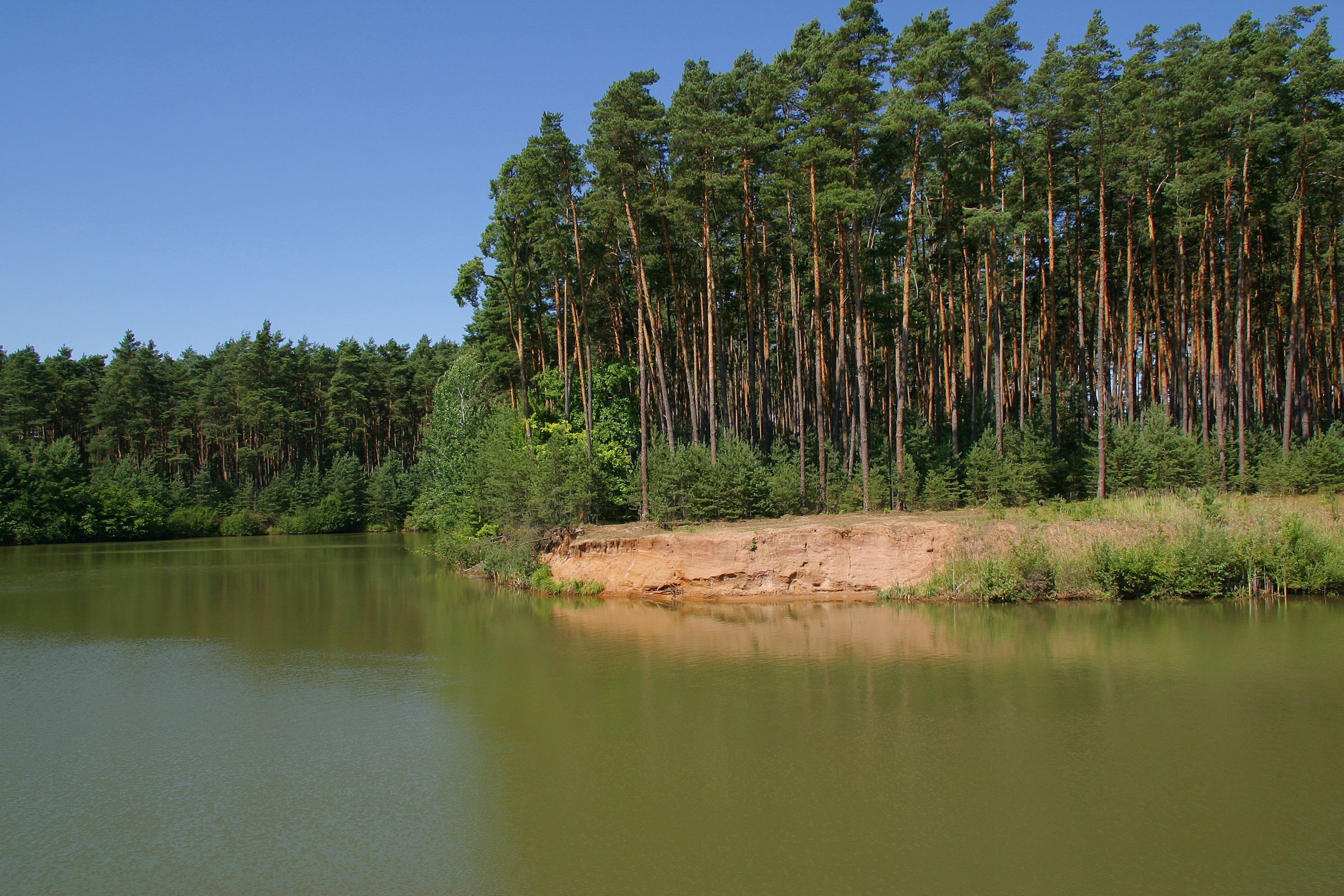 Ein Fluss mit Kiefernwäldern entlang der Ufer und einer rötlichen Sand-Steilwand. Sand-Lebensräume wie diese sind Heimat für hochspezialisierte Pflanzen und Tiere. (Foto: Wolfgang Wilner)