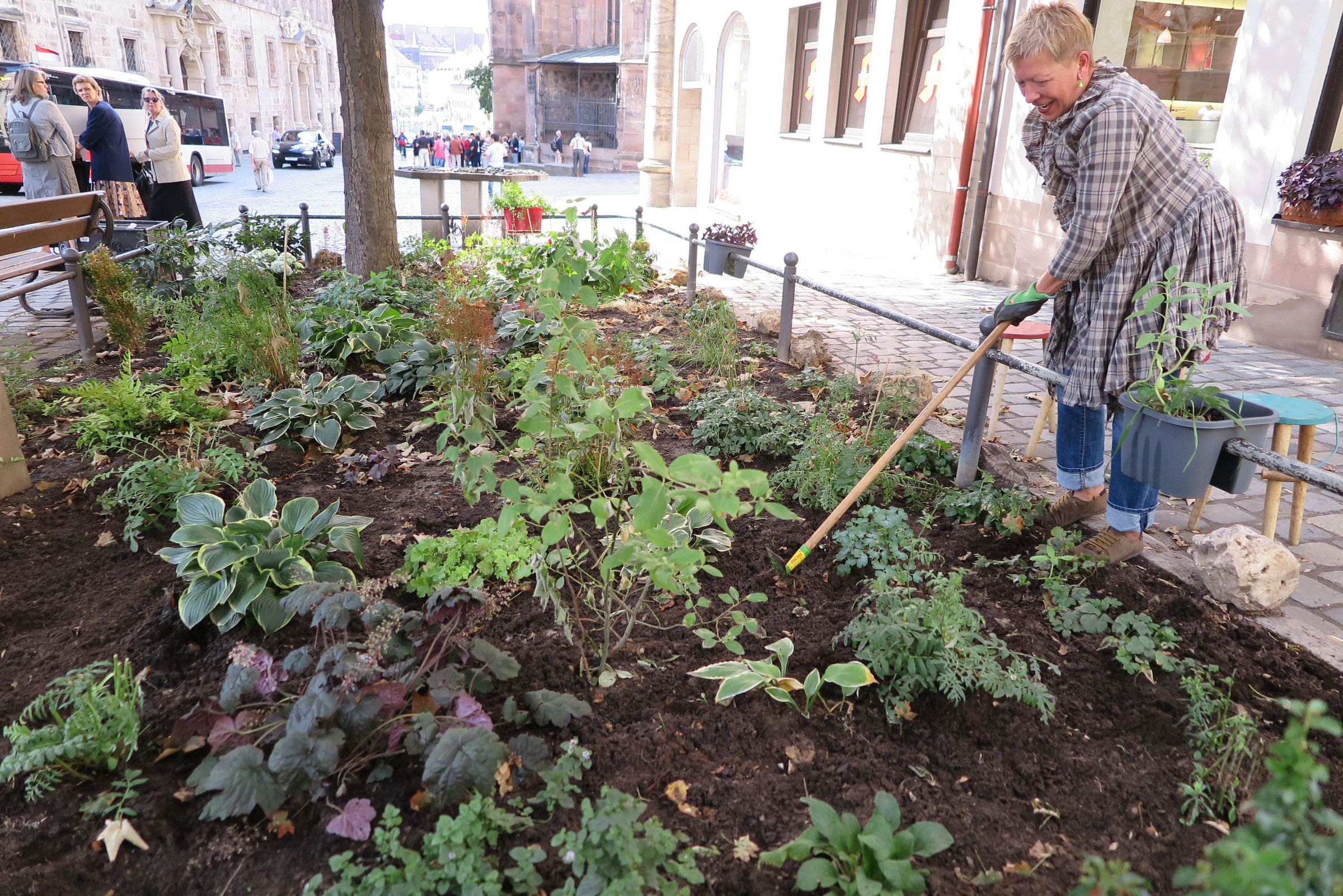 Eine Dame harkt ein Beet unter einem Stadtbaum.