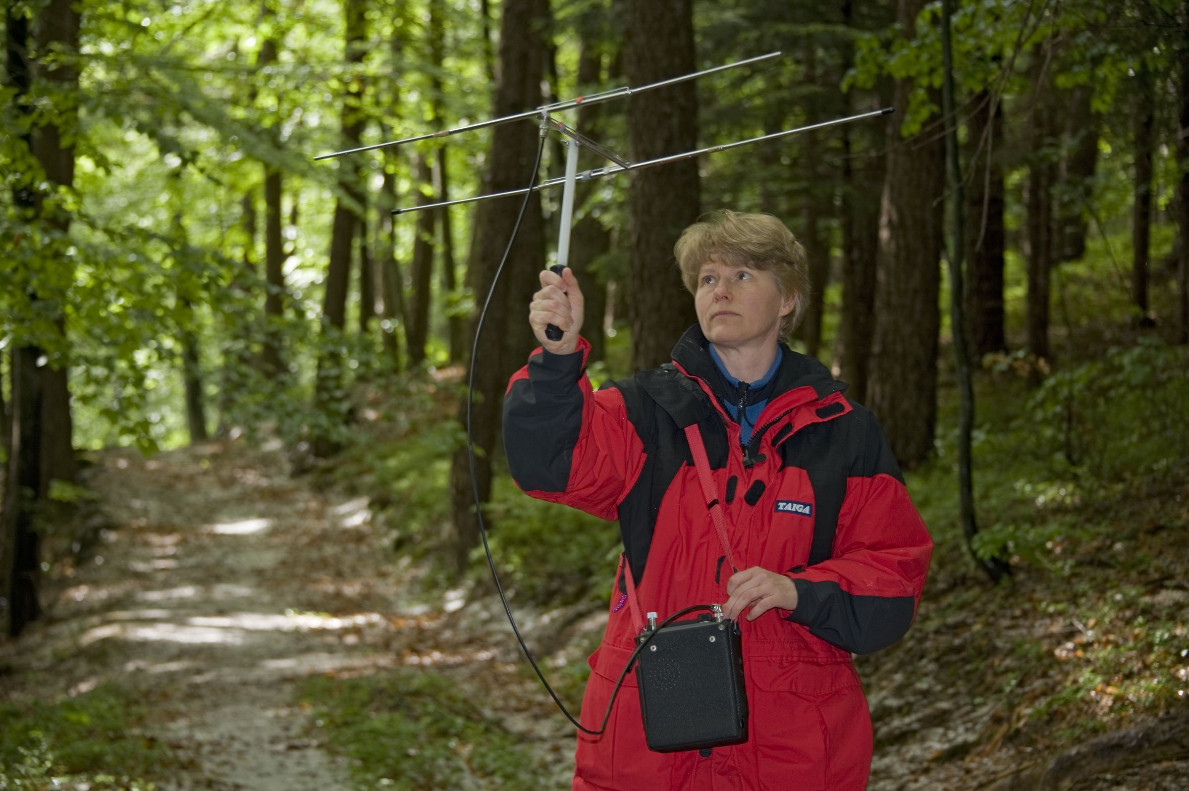 Eine Artenkennerin hält eine Antenne in die Luft. Sie telemetriert einen Luchs.