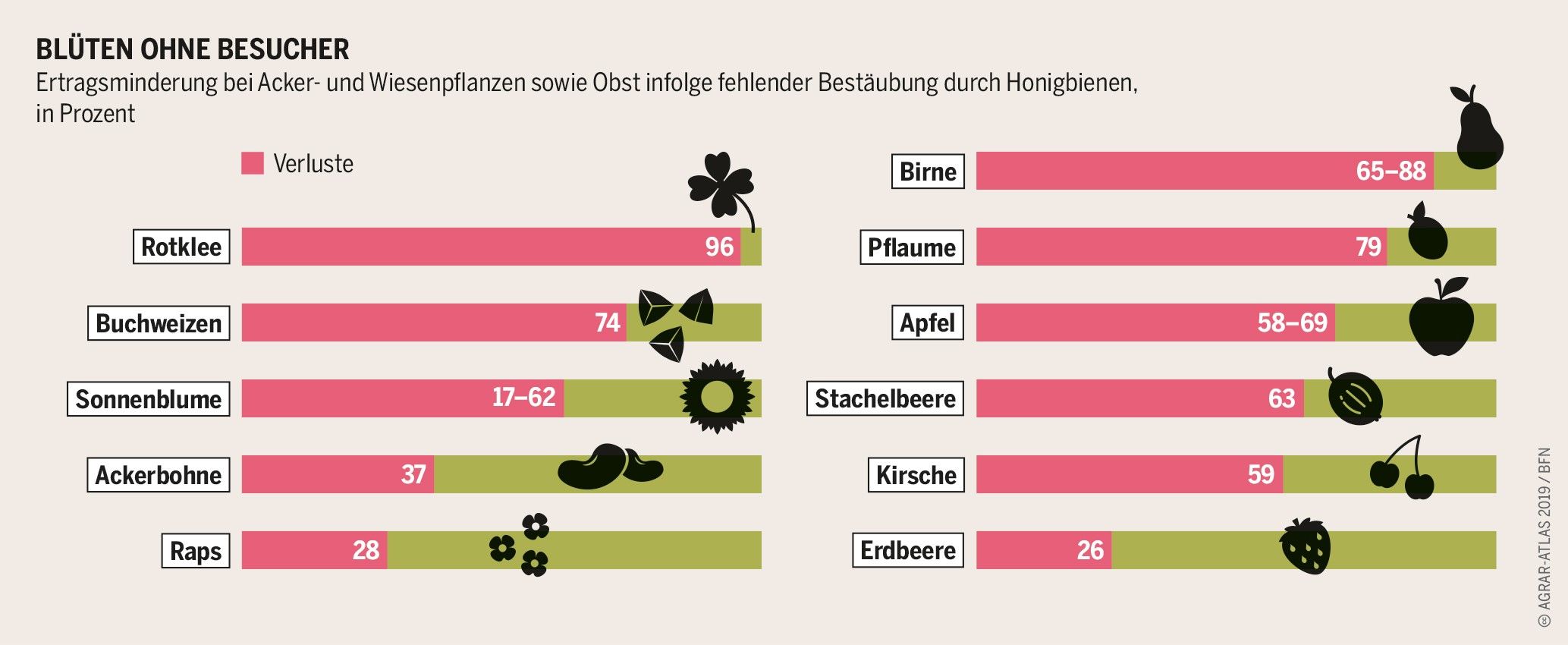 Ein Diagramm mit liegenden Balken zeigt, wieviel Einbußen es bei verschiedenen Pflanzen ohne Bestäubung durch Bienen gäbe