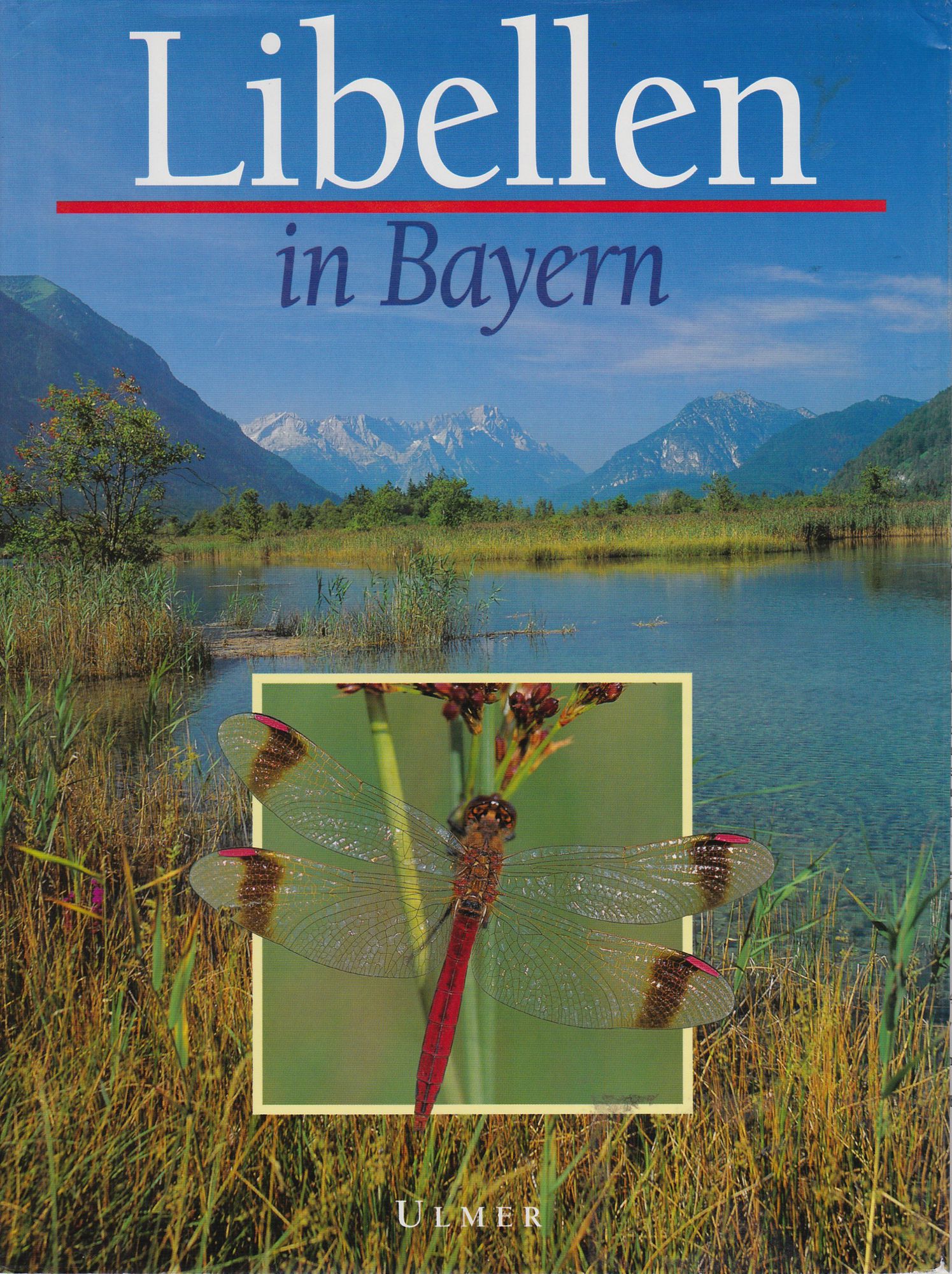 Cover Libellen in Bayern.