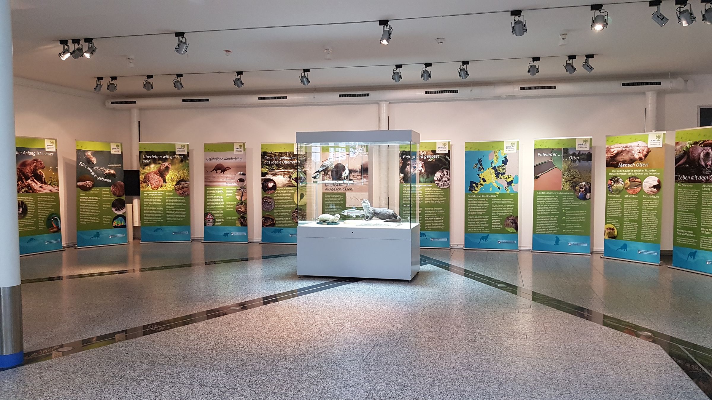 Bild von der Fischotter-Ausstellung mit Schautafeln und Fischotter in Glasvitrine. Öffentlichkeitsarbeit für den Fischotter ist dringend notwendig. (Foto: BUND Naturschutz)