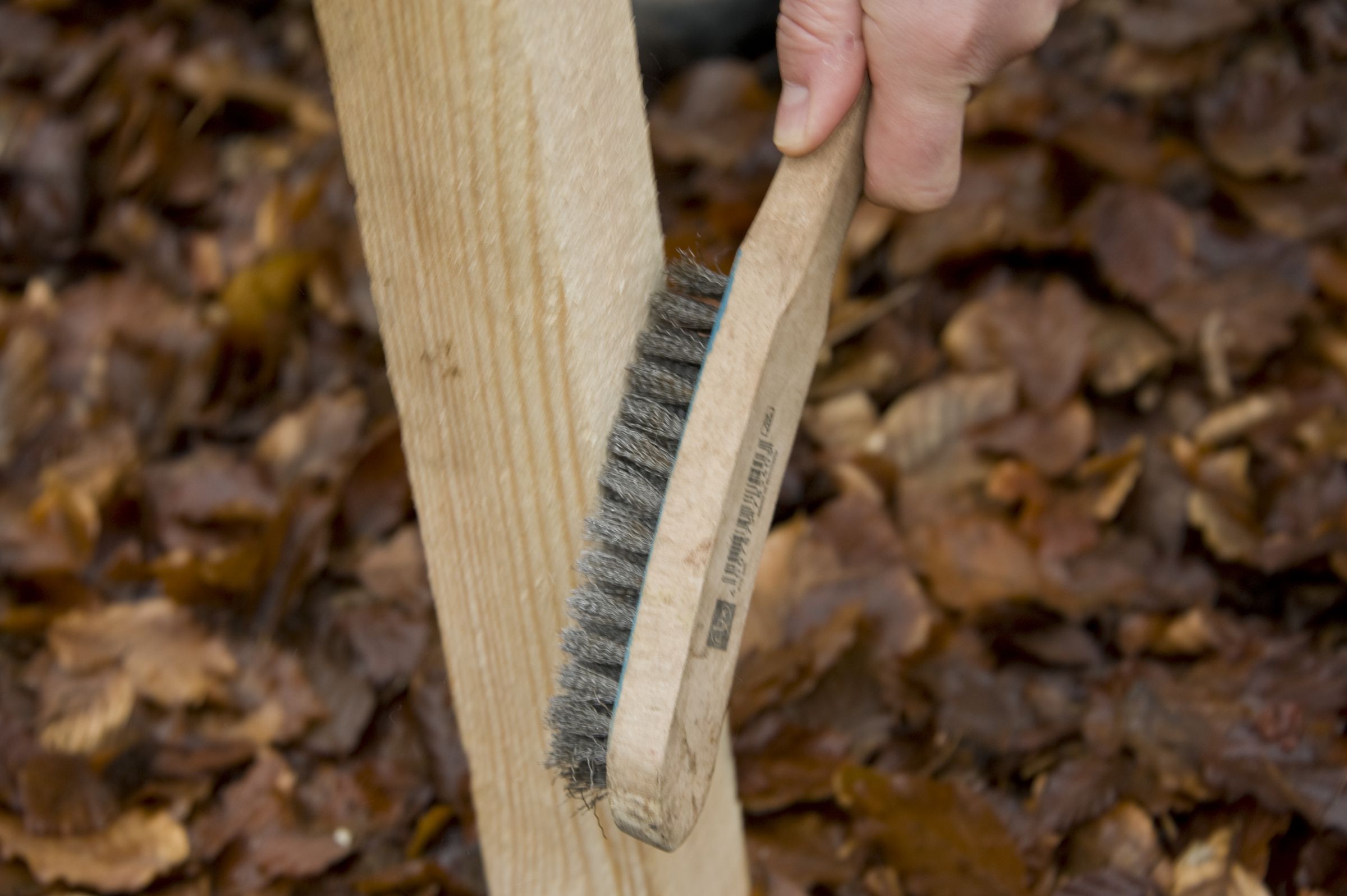 Der Lockstock wird mit einer Drahtbürste angeraut. An der rauen Oberfläche bleiben Haare gut hängen. (Foto: Thomas Stephan)