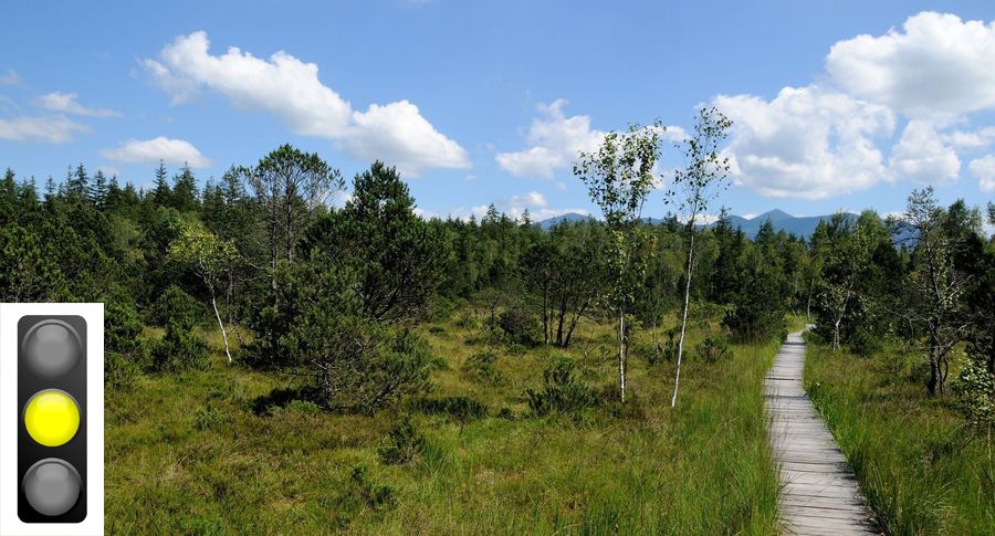 Eine Moorlandschaft mit einem Bohlenweg und einer Ampel, die auf Gelb steht. Der Moorschutz in Bayern ist seit Jahrzehnten ein zentraler Schwerpunkt der BN-Arbeit. (Foto: nhermann/stock.adobe.com, Ampel: kledesign/stock.adobe.com) 