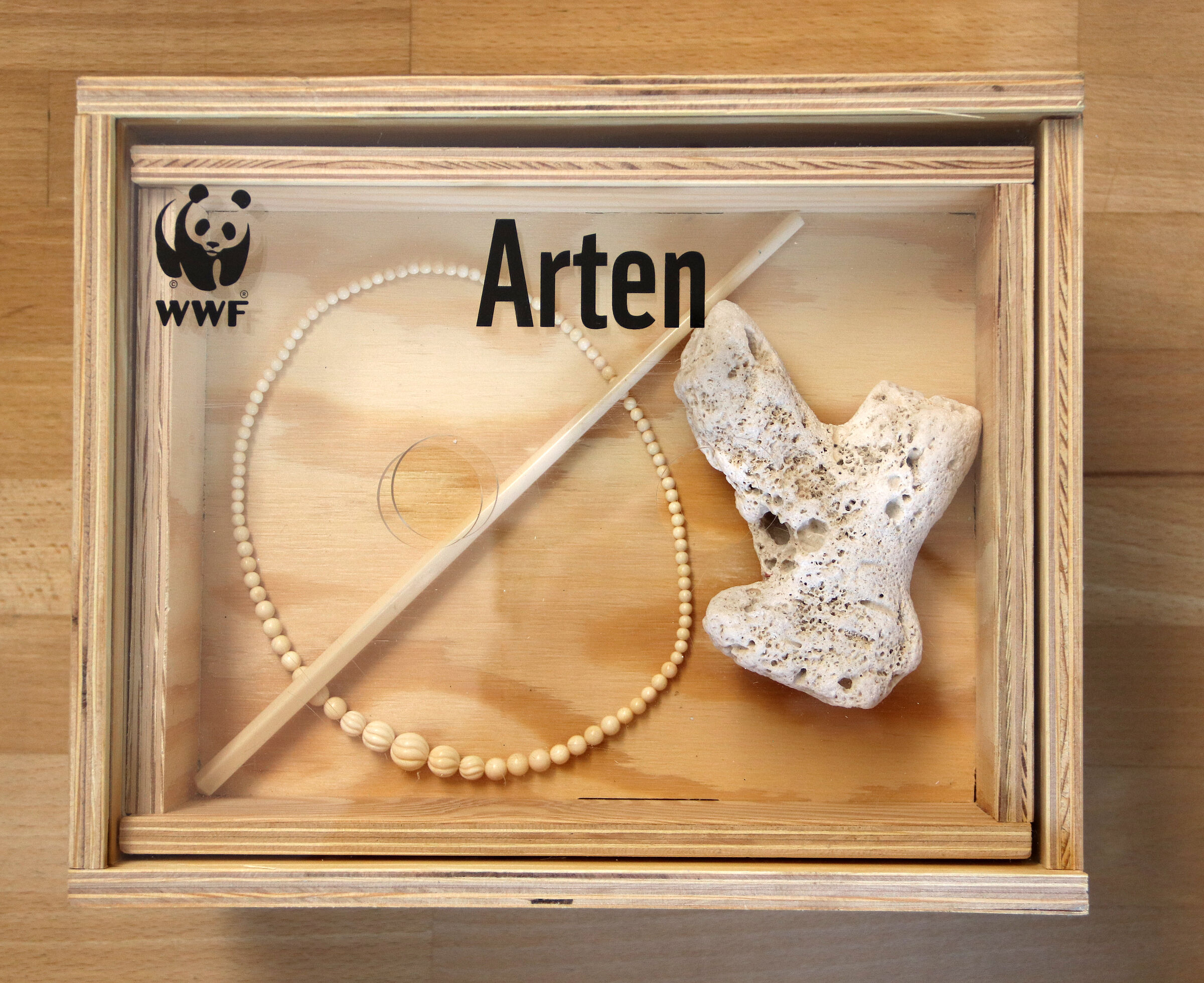 Esstäbchen und Kette aus Elfenbein, Koralle (Foto: Sonja Kreil)