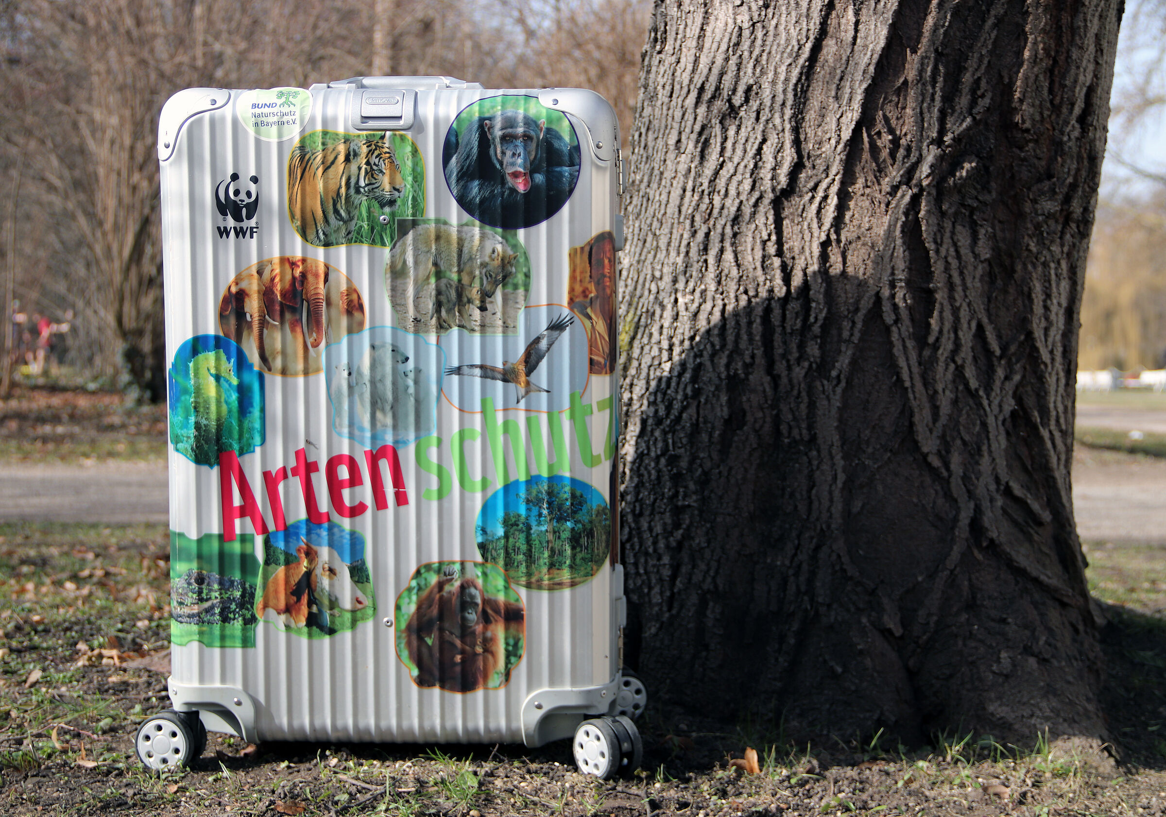 Artenschutzkoffer (Foto: Sonja Kreil)