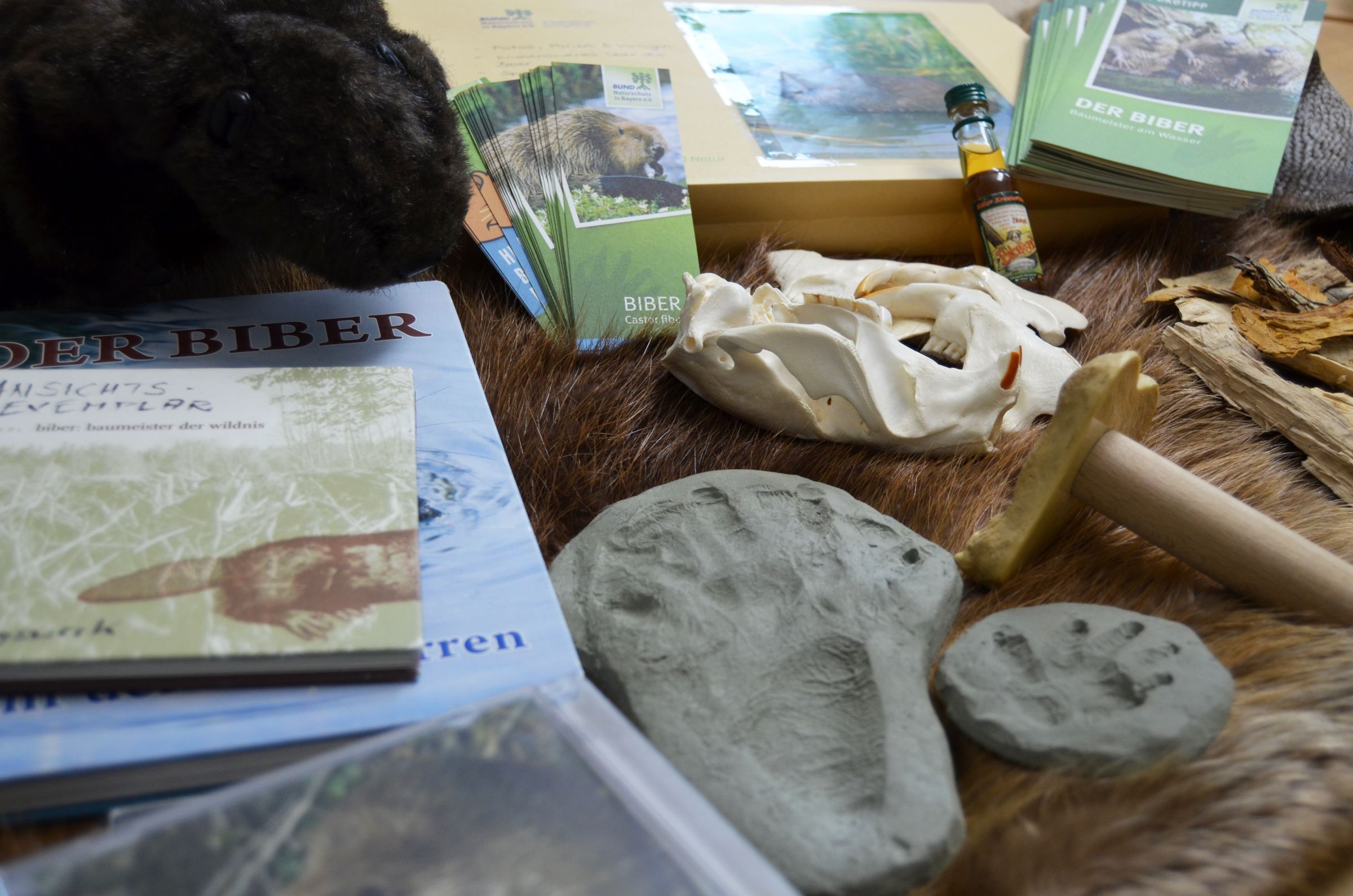 Biberrucksack des BUND Naturschutz (Foto: Sonja Kreil) 
