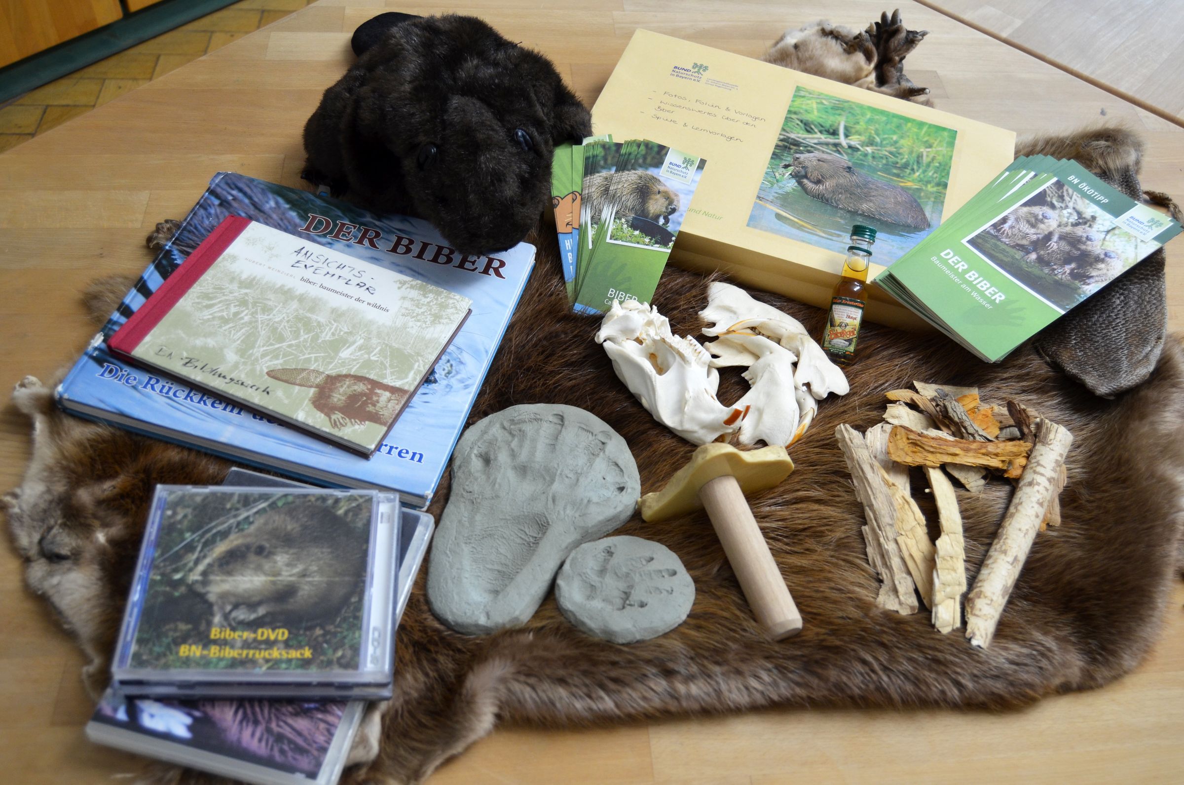 Biberrucksack - Inhalt (Foto: Sonja Kreil)