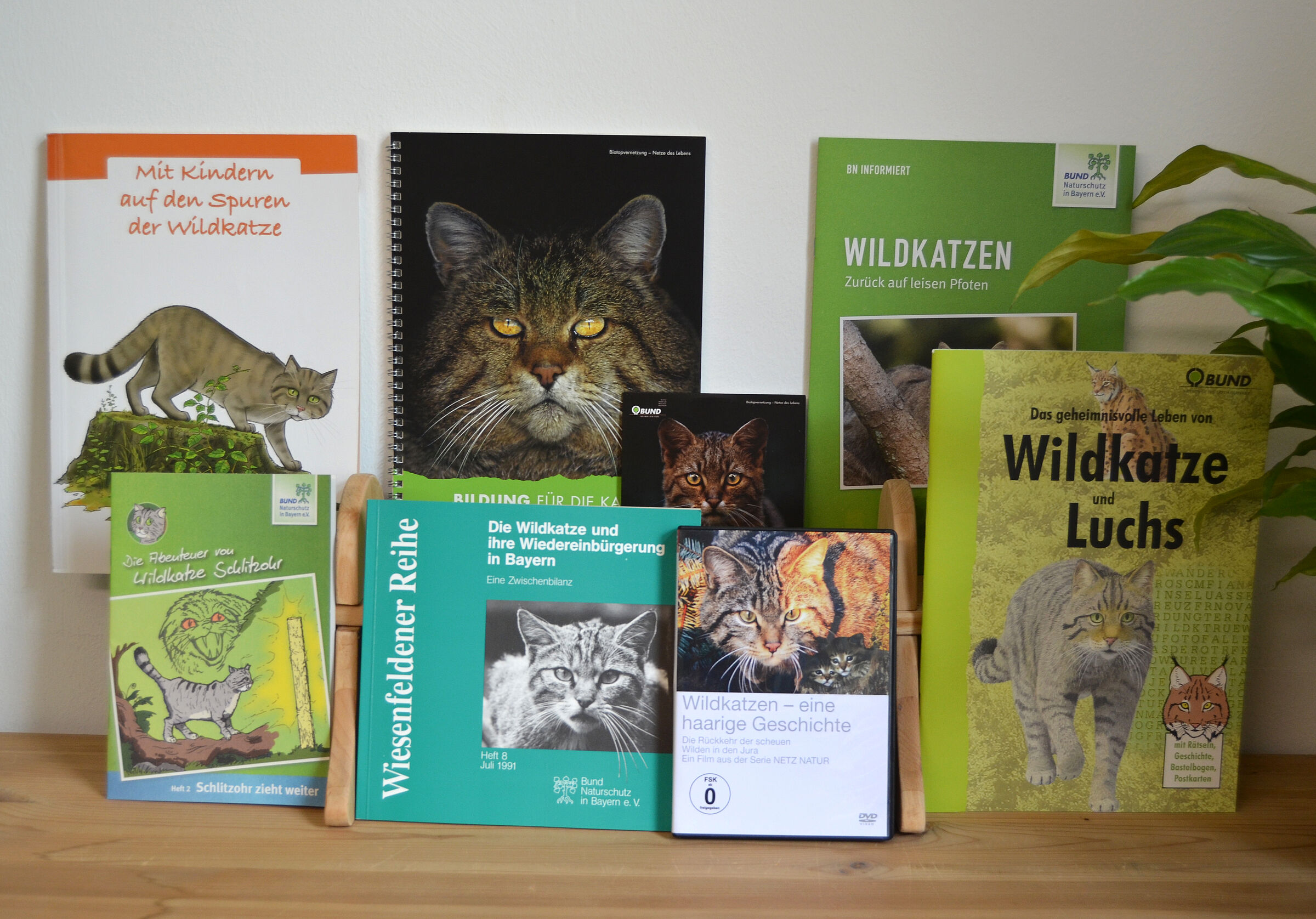 Infomaterial (Foto: Sonja Kreil)