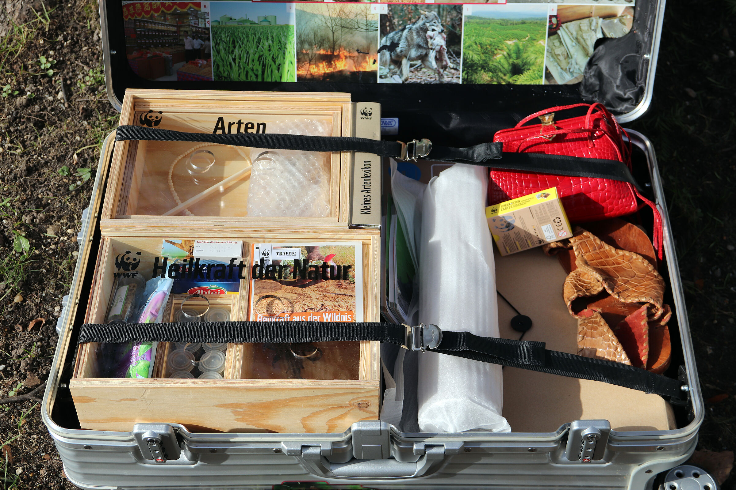 Bildungsmaterial Artenschutzkoffer (Foto: Sonja Kreil)