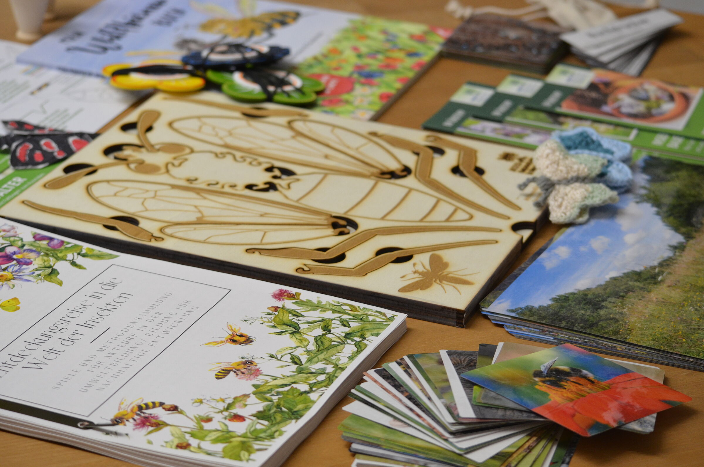 Insektenkiste (Foto: Sonja Kreil)