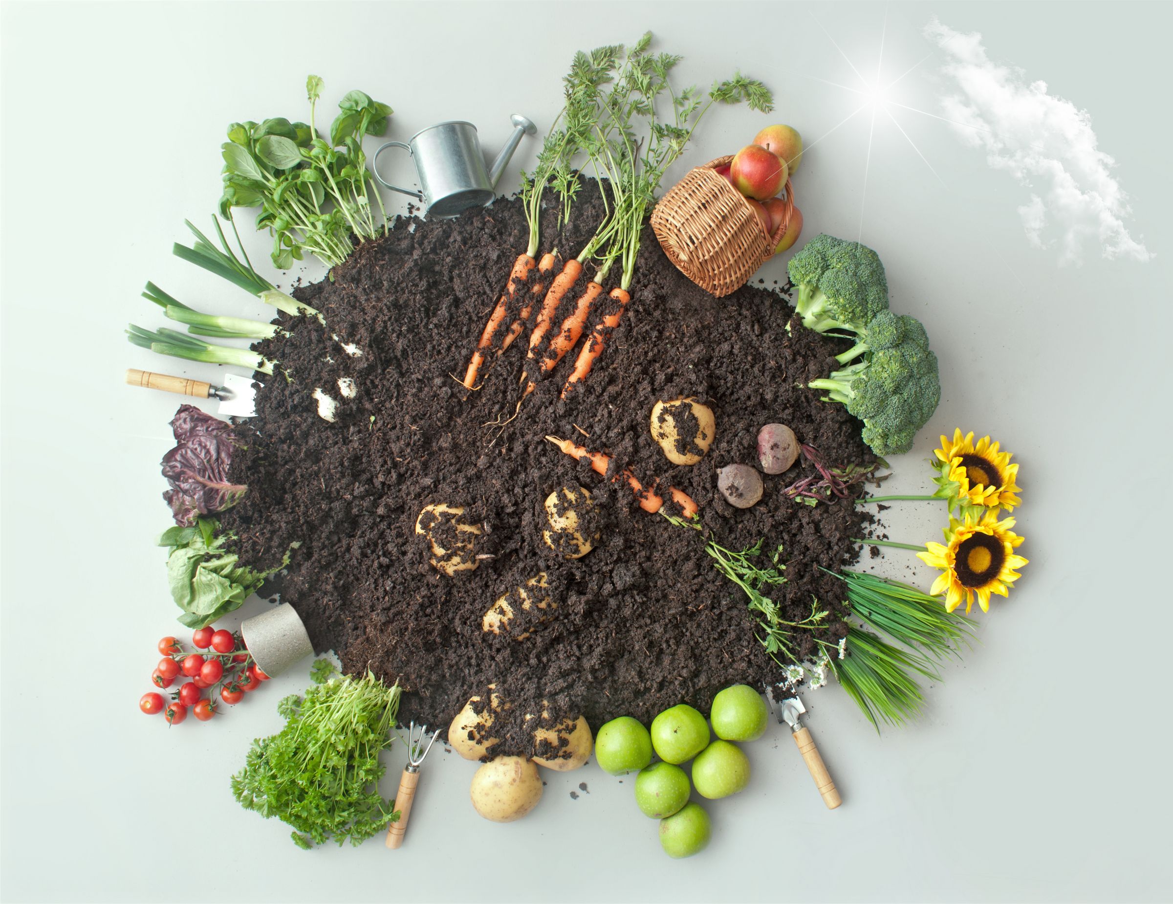 Foto: Pixelbliss/adobe.stock.com