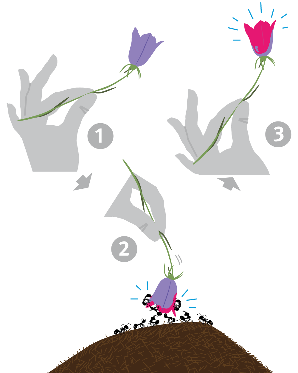 Wie blaue Blüten erröten (Illustration: Marco Fischer/stock.adobe.com)