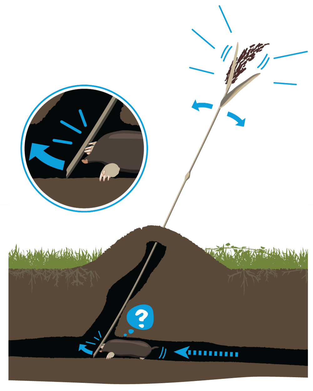Maulwurf-Detektor (Illustration: Marco Fischer/grafischer.com)