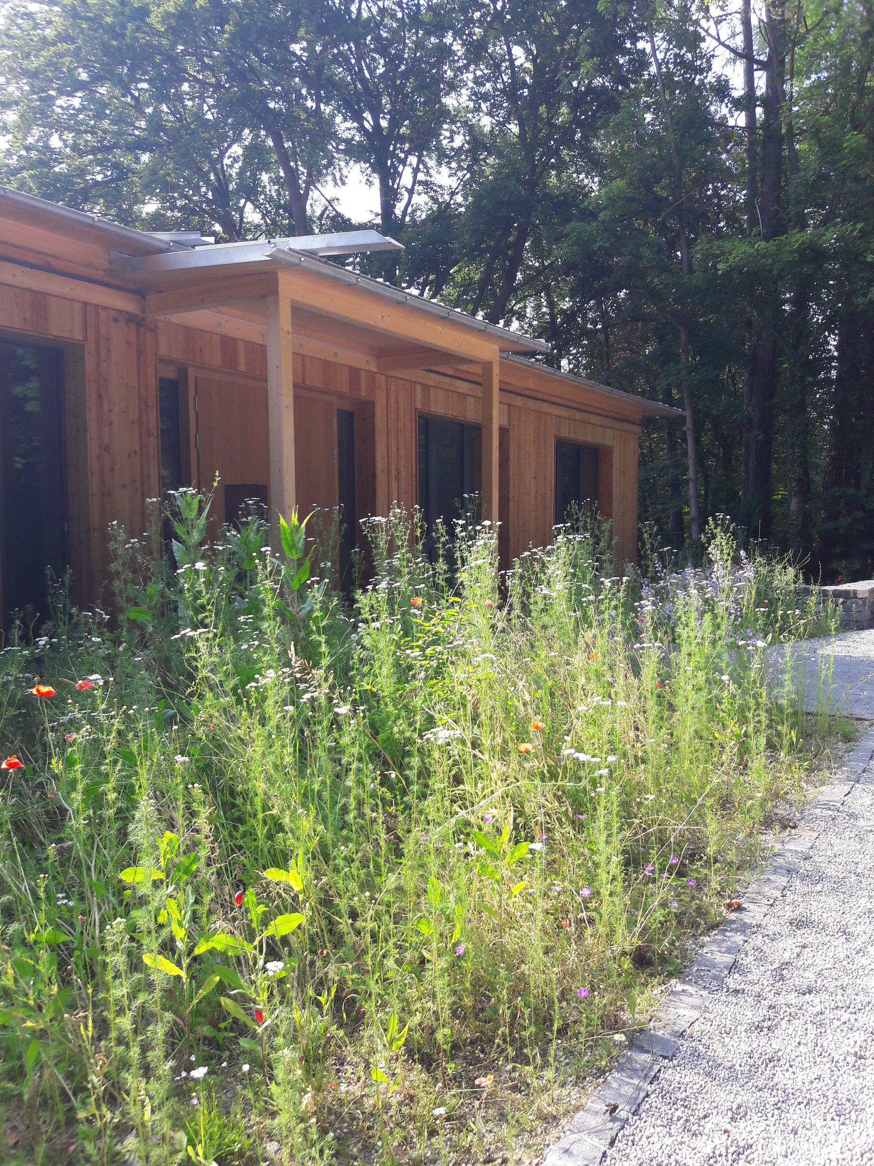 Eingang Seminarhaus (Bild: BN-Archiv)