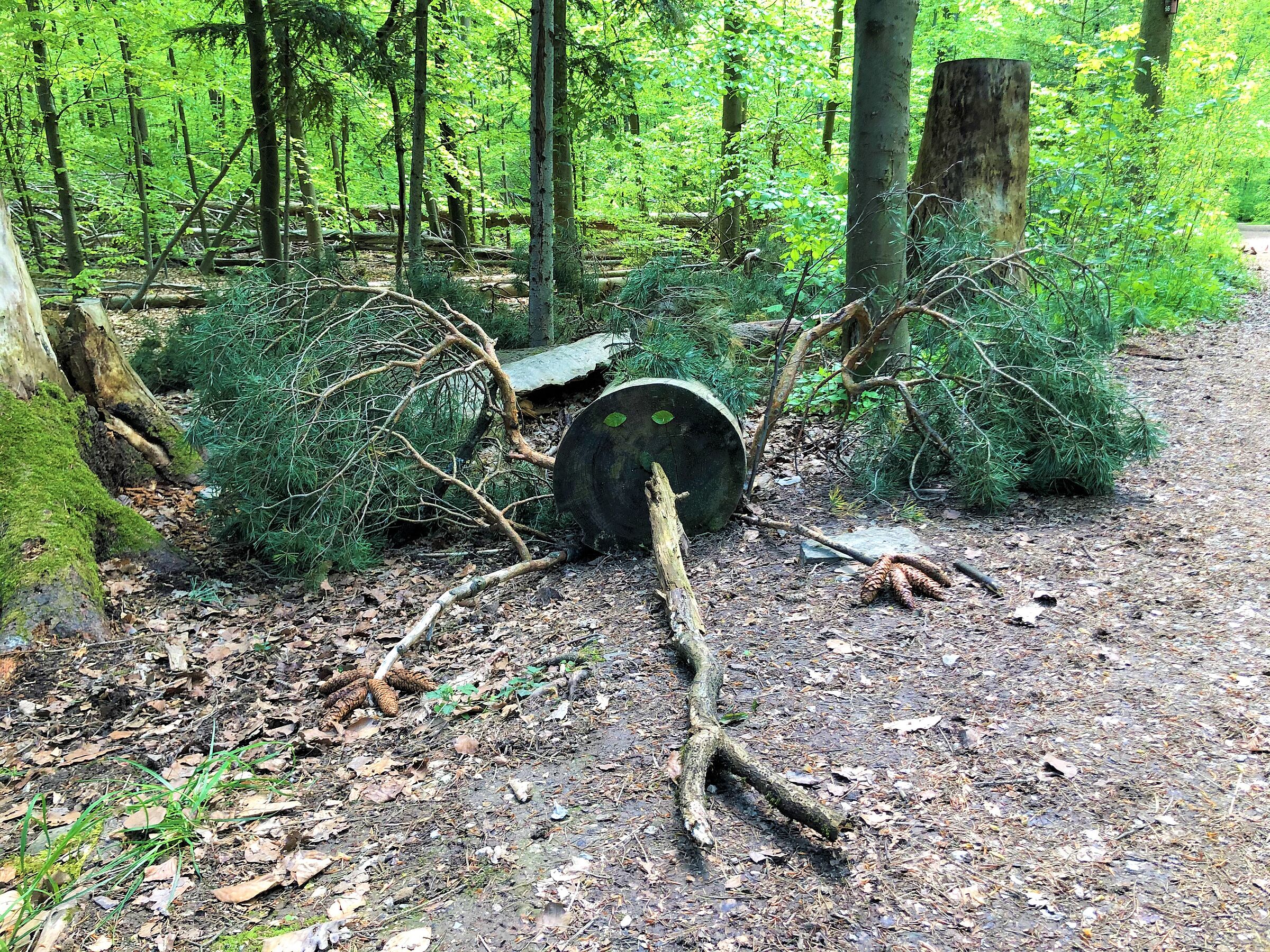 "Klimatier" aus natürlichen Materialien (Bild: Inga Beck)