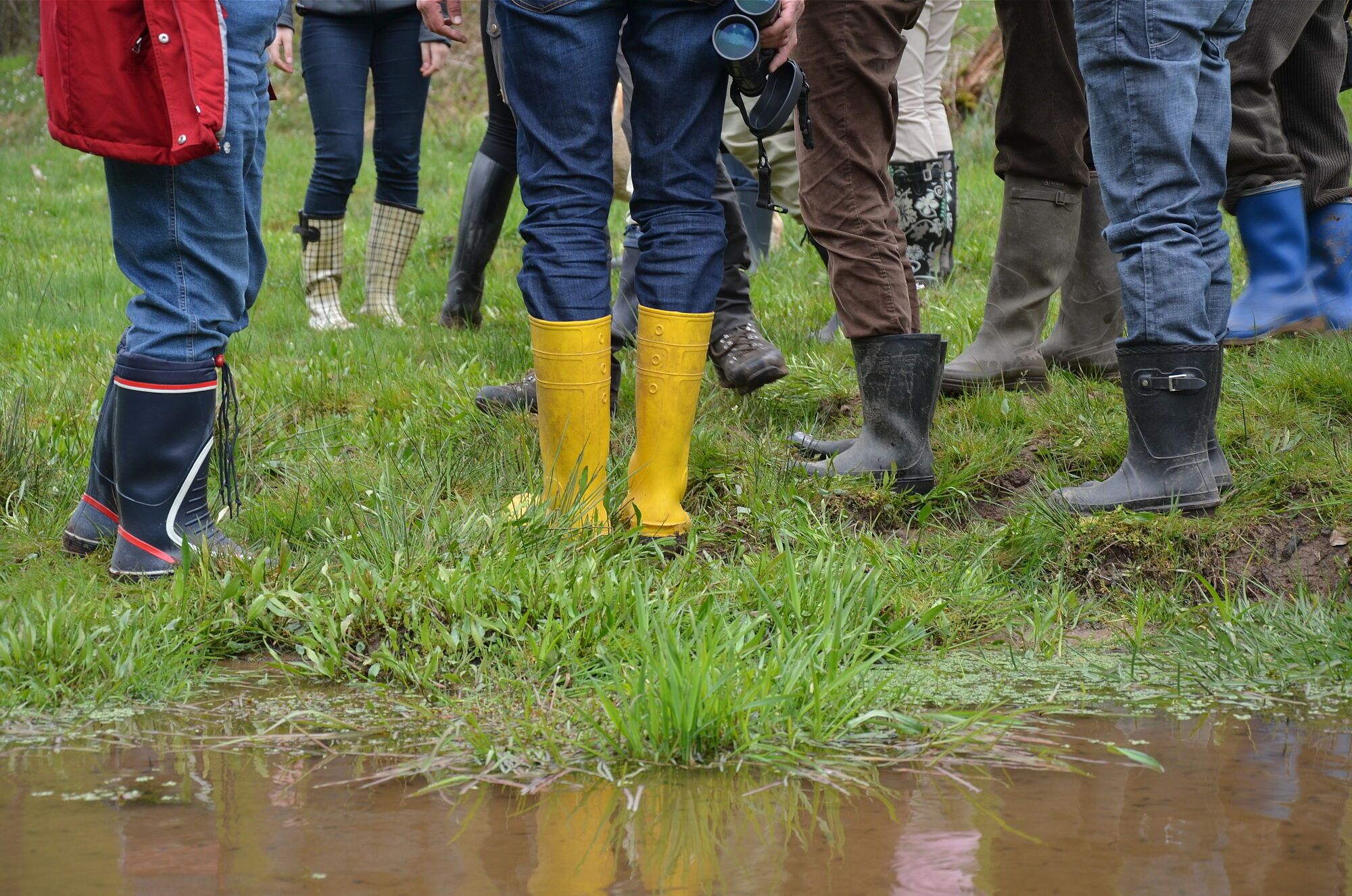 Eine Gruppe Menschen in Gummistiefeln auf überschwemmter Wiese (Bild: Cornelia Schlosser)