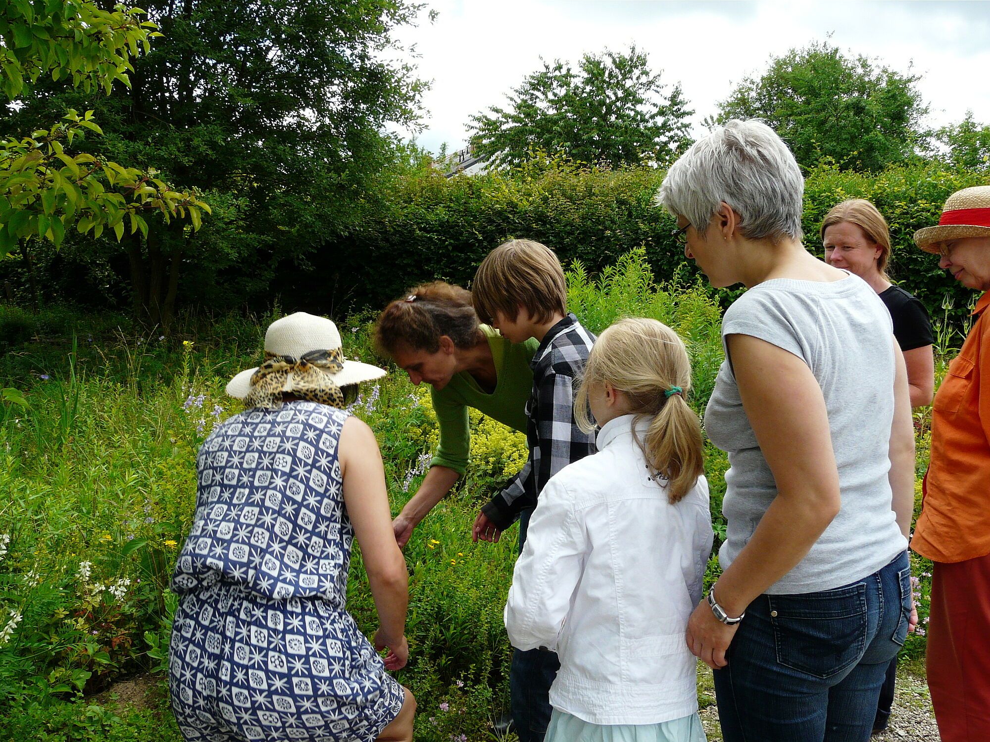 Besucherinnen beim Pflanzenworkshop untersuchen Pflanzen (Bild: Sabine Lessig)