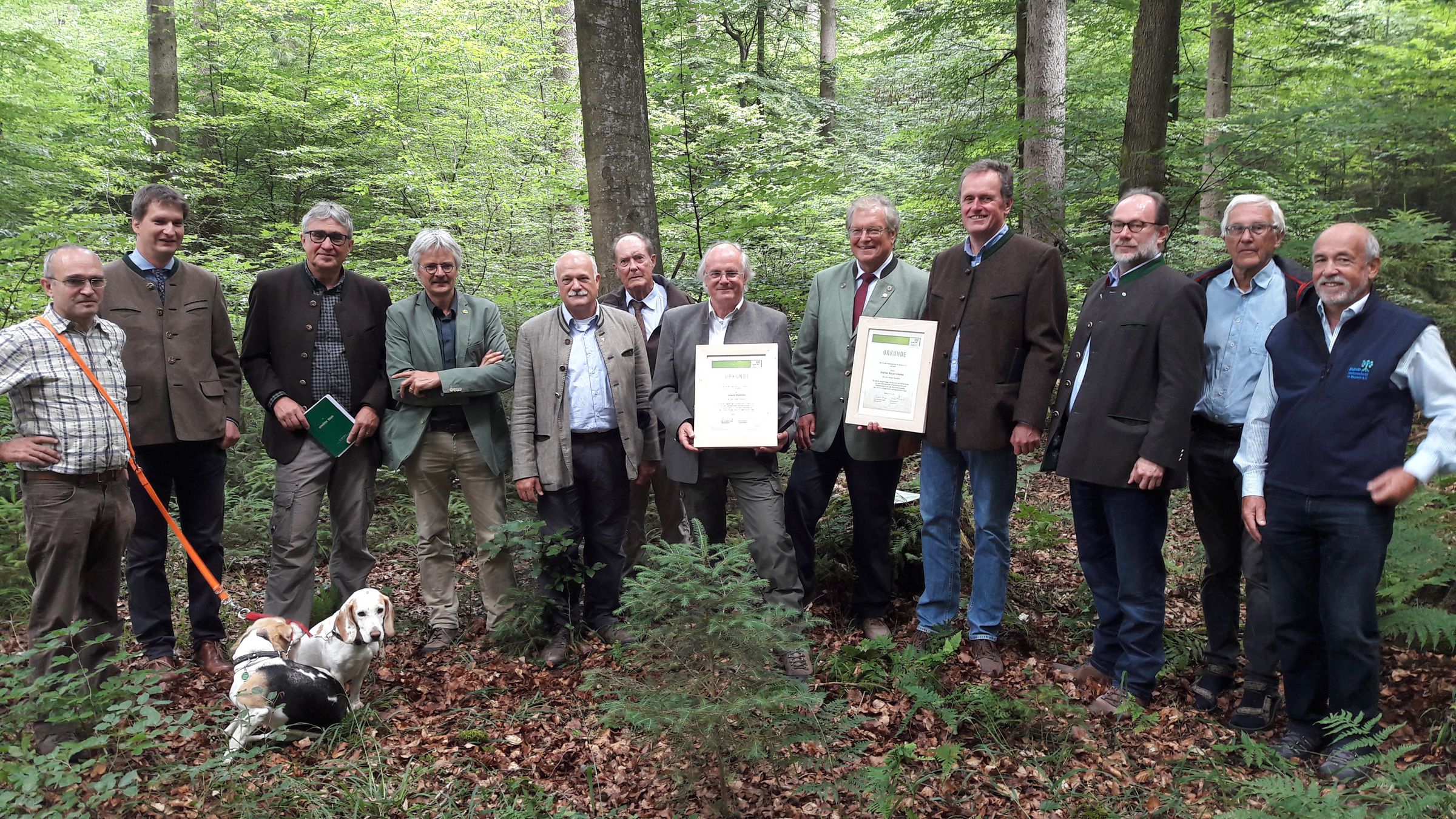 Von links: Wolfgang Kornder, Vorsitzender ÖJV; Sebastian Höllerl, StMELF; Reinhard Neft, BaySF; Richard Mergner, BN-Landesbeauftragter; Manfred Schölch, ANW; Hans Kornprobst, Sprecher BN AK Wald; Alwin Rammo, Preisträger; Hubert Weiger, BN-Vorsitzender; Stefan Bauernfeind, Preisträger; Bernd Lauterbach, BDF; Eberhard Sening,BN OG Dießen; Folkart Glaser, BN KG Landesberg (Foto: Ralf Straußberger)