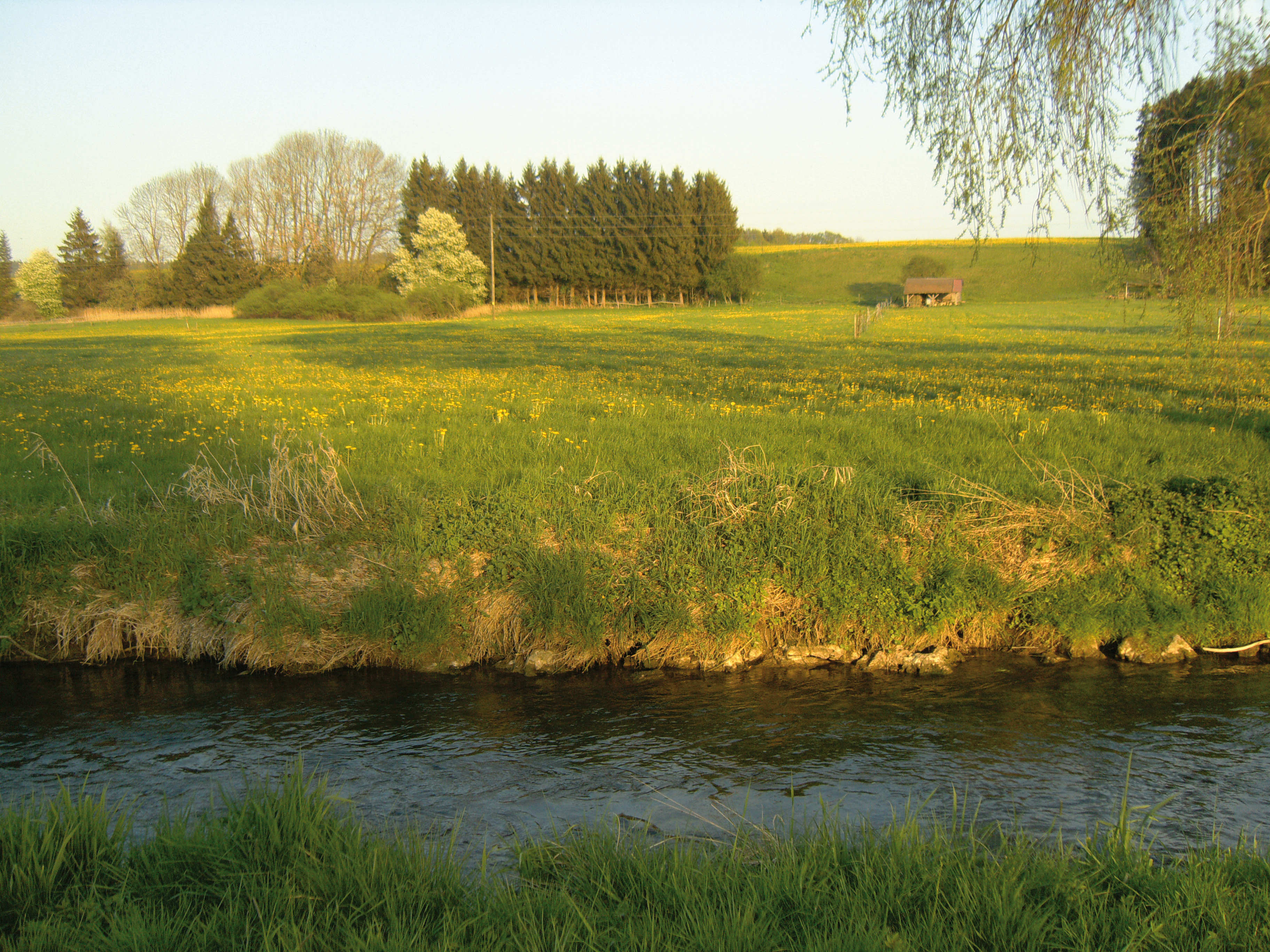 Krebsbachtal im Unterallgäu