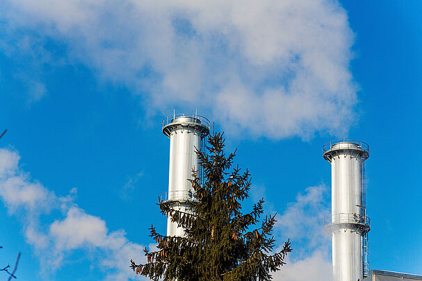 Fabrikschlot und Baum: Die Großfeuerungsanlagen-Verordnung bremste das Waldsterben (Foto: Gina Sanders - stock.adobe.com)