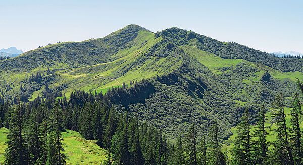 Riedberger Horn (Foto: Oswald Beumeister/Gesellschaft für Ökologische Forschung II)