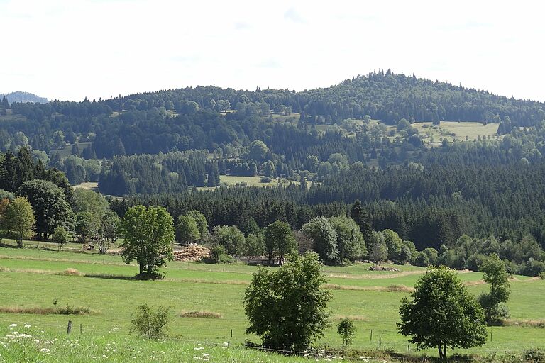 Eine Wiesenlandschaft mit einzelnen eingestreuten Bäumen und bewaldeten Hügeln im Hintergrund (Foto: BUND-Fachbereich Grünes Band) 