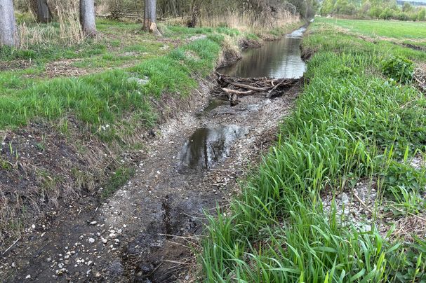 Biber schützt vor Austrocknung des Mooses