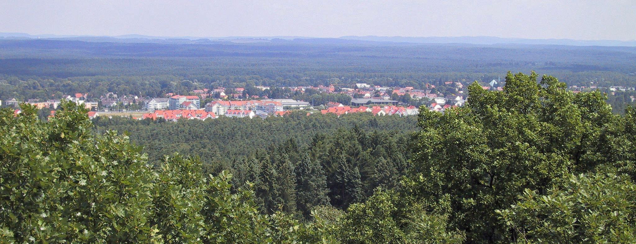 Blick von oben auf einen Laub- und Nadelwald im Vordergrund, eine Ansammlung von Häusern und dahinter wieder Wald bis zum Horizont