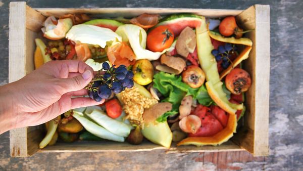 Lebensmittelverschwendung vermeiden: Eine Hand hält essbare Weintrauben aus einer Kiste mit Essensresten.