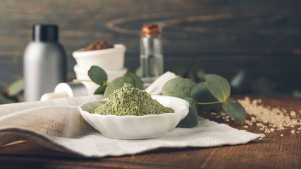 Henna-Farbe richtig anwenden: Grünes Henna-Pulver in einer weißen Schale.