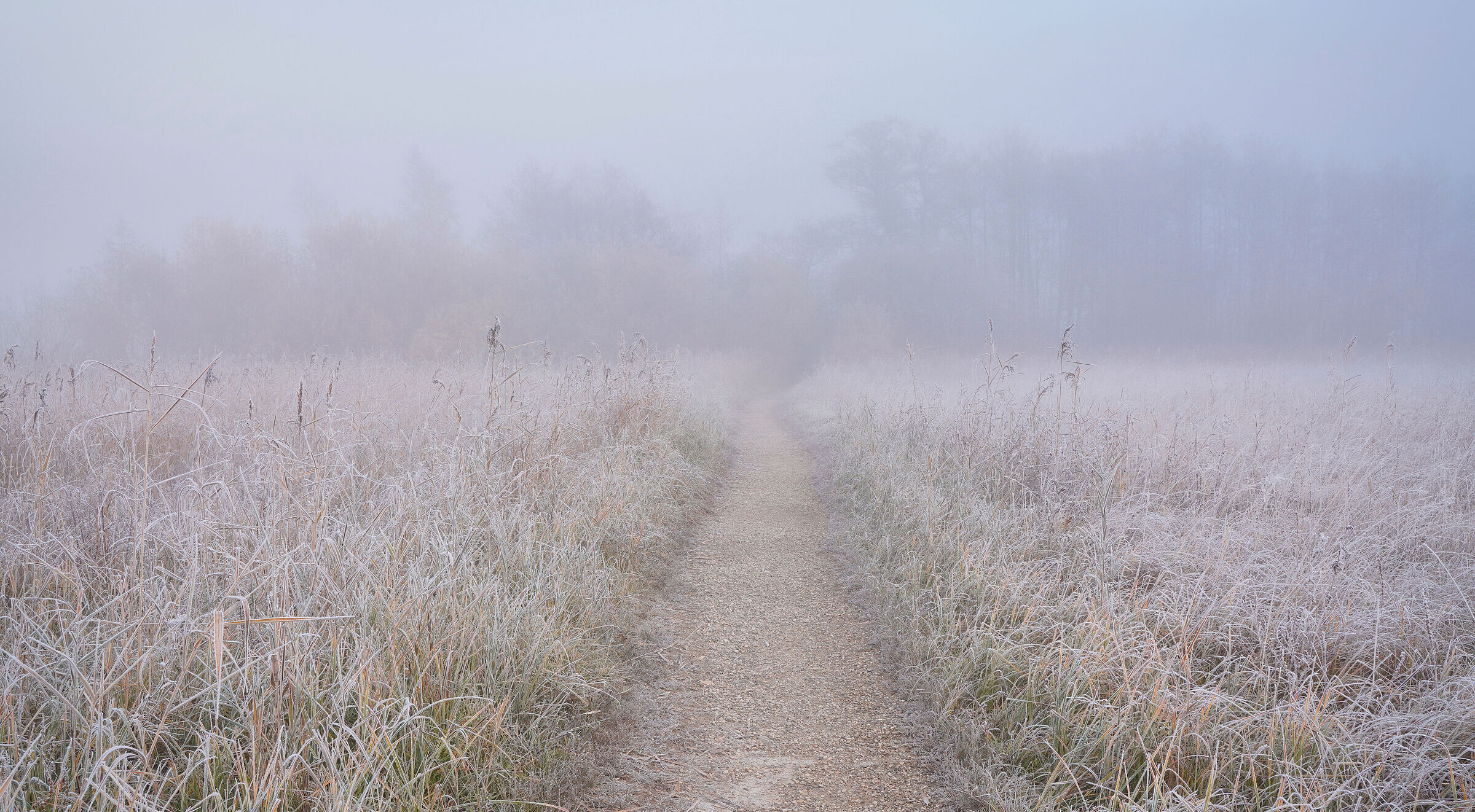 Nebelmorgen im Murnauer Moos: In Kombination mit den Abgasen der Müllverbrennungsanlage hätte der Nebel Risiken für die Gesundheit gehabt (Foto: Norbert L. Maier/stock.adobe.com).